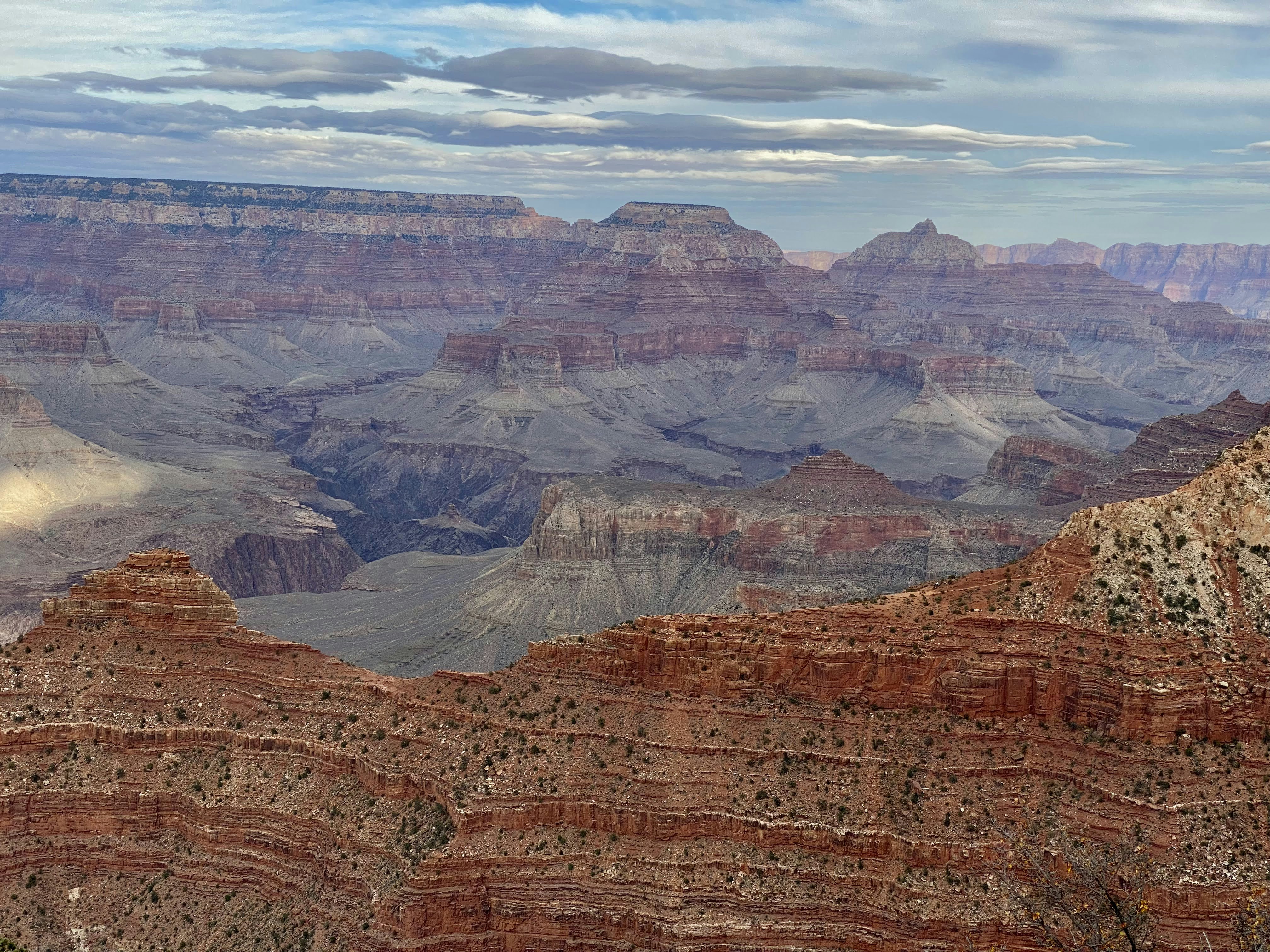 Photo by maeghansmulders