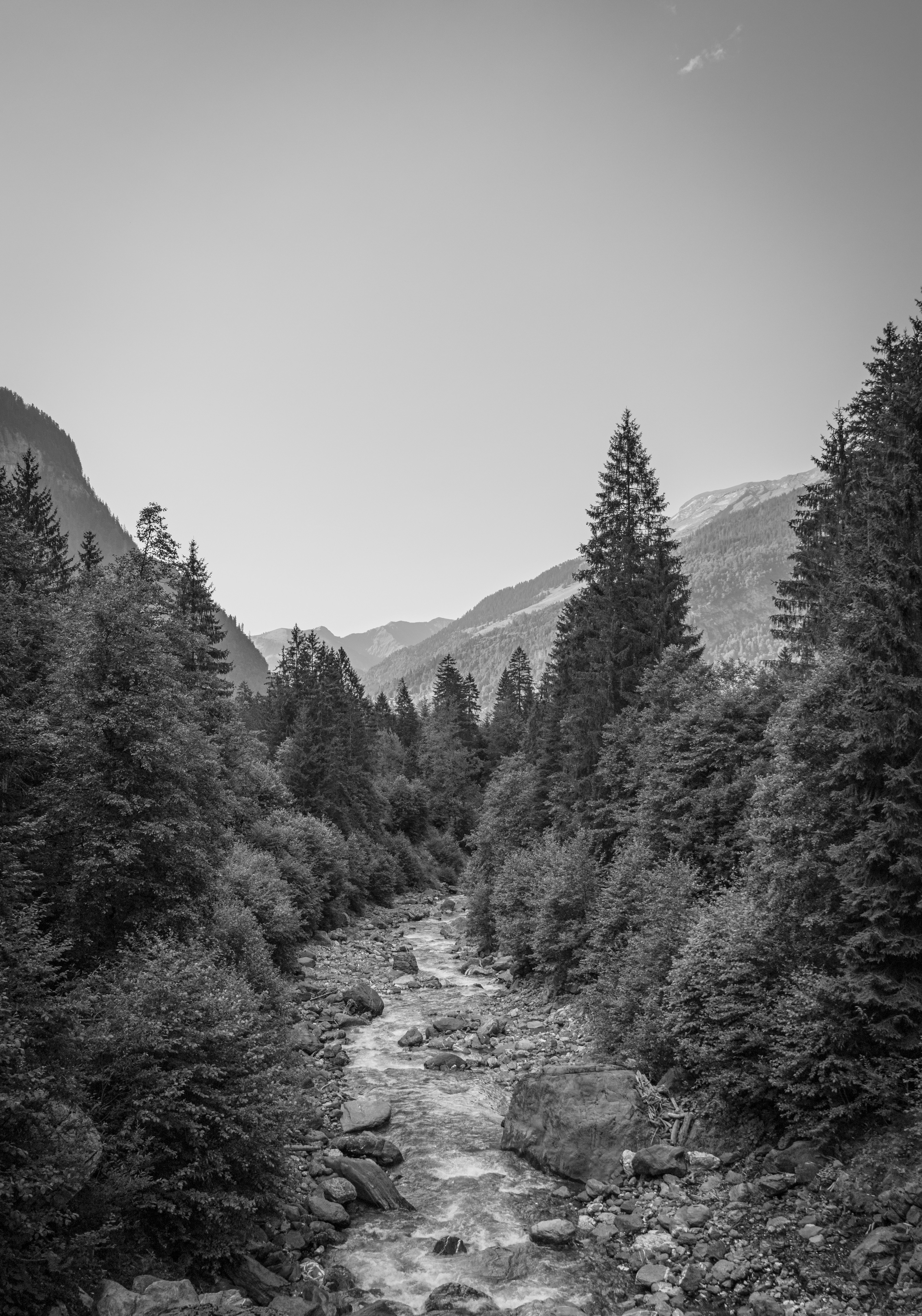 Photo by louispaulin