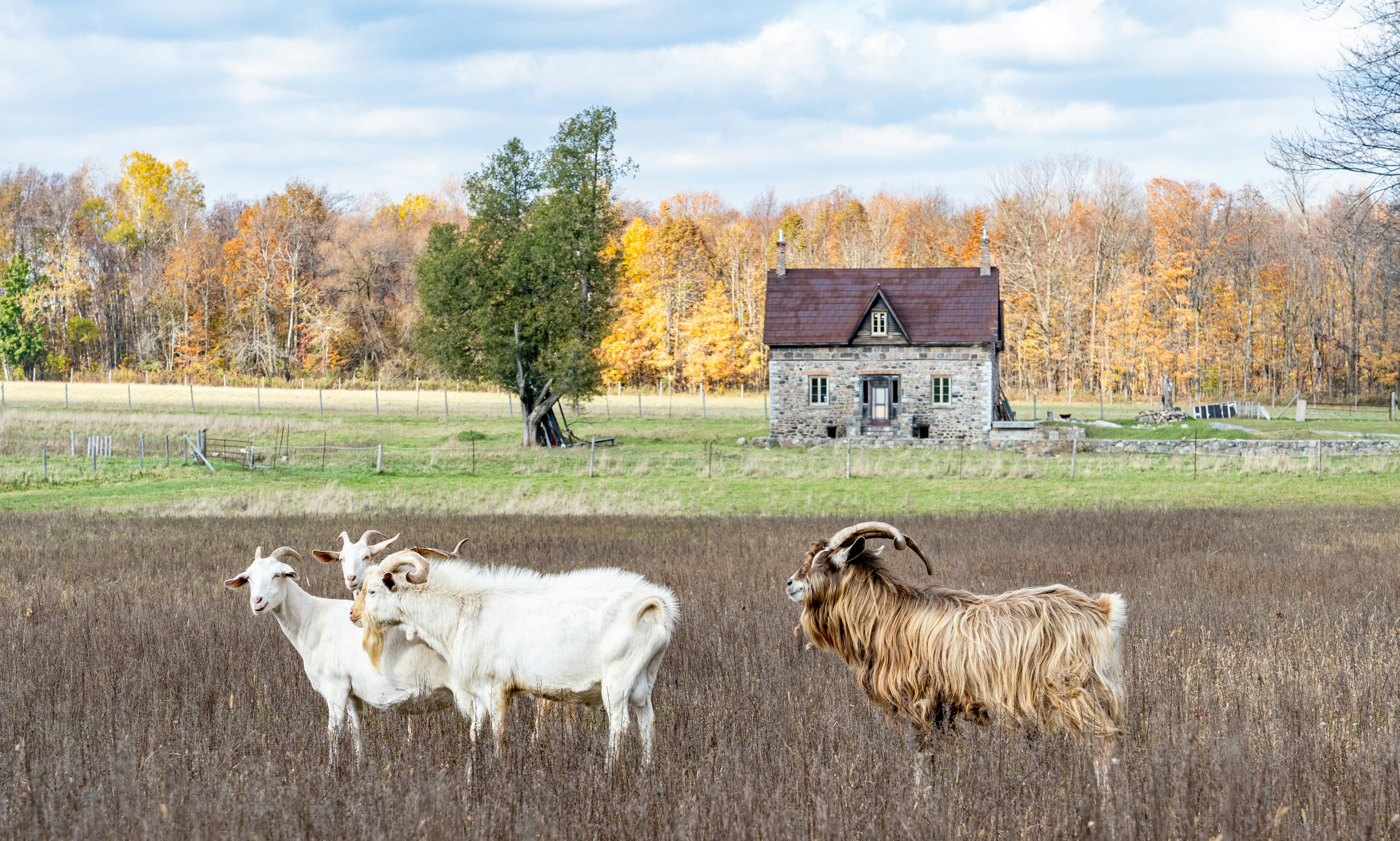 Photo by chris_robert