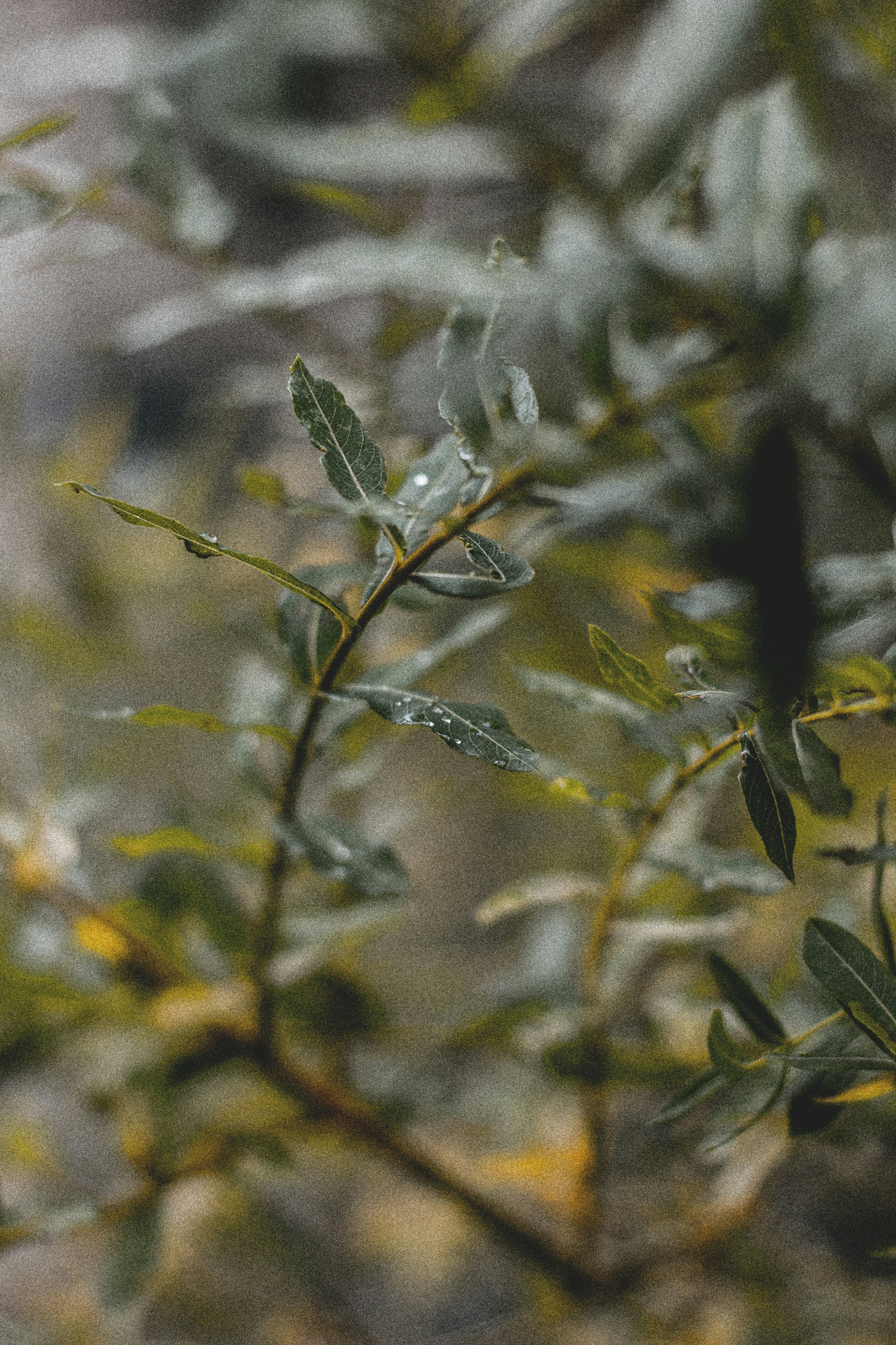 Photo by iamfrancismorgan