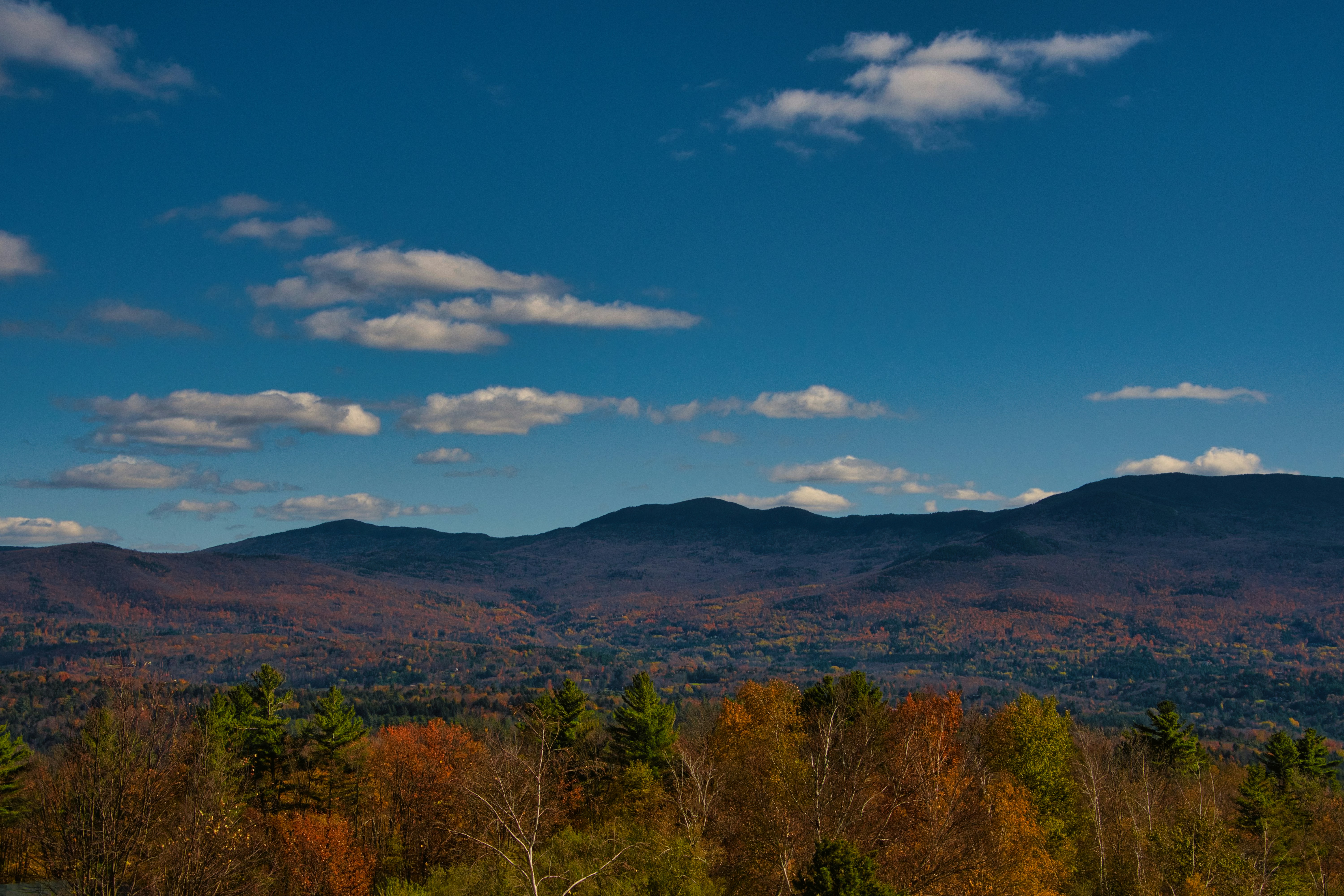 a view of a mountain range with trees in the foreground, A view East from the Trapp Family Lodge in Vermont. 