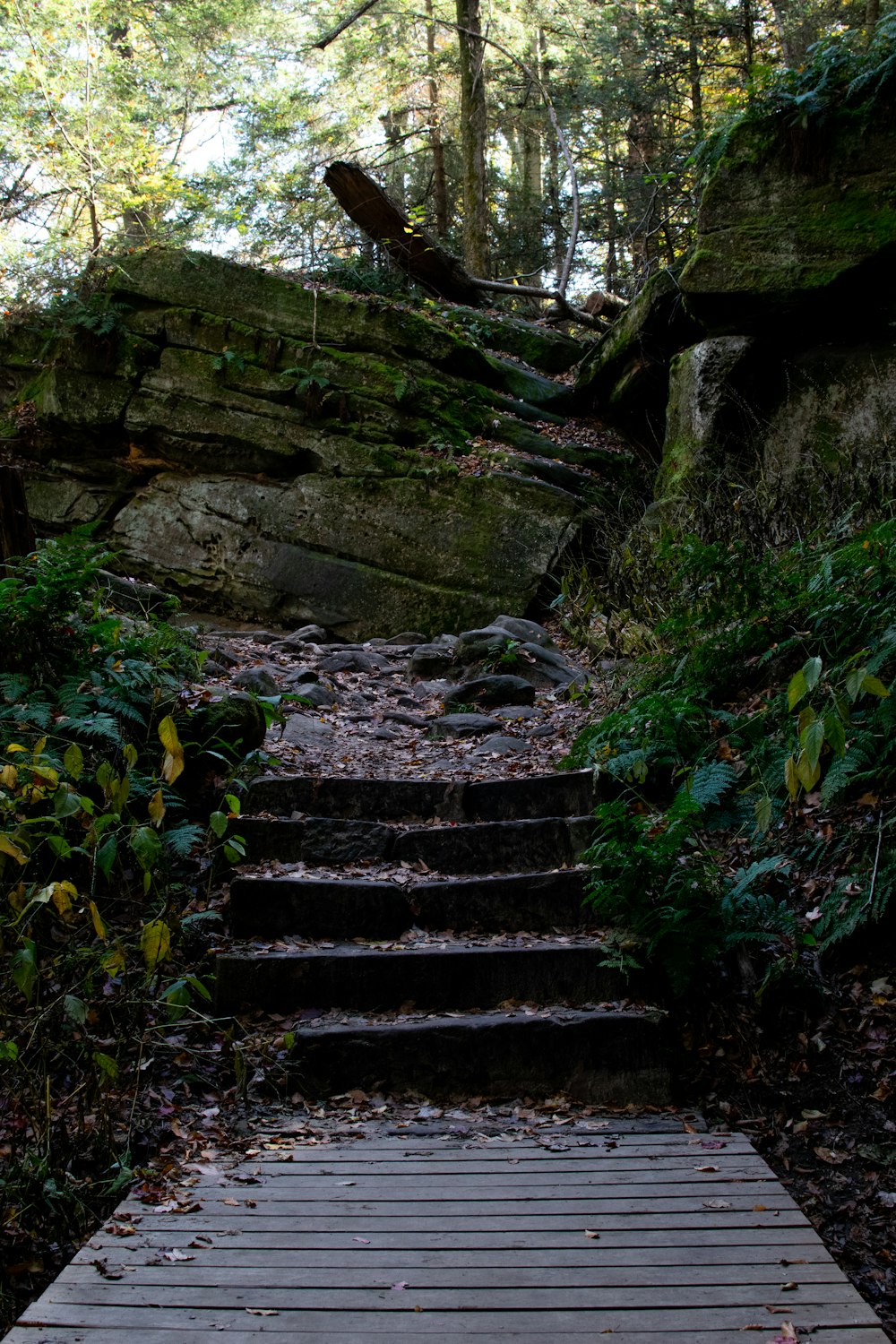 a wooden walkway in the woods leading to a rock formation