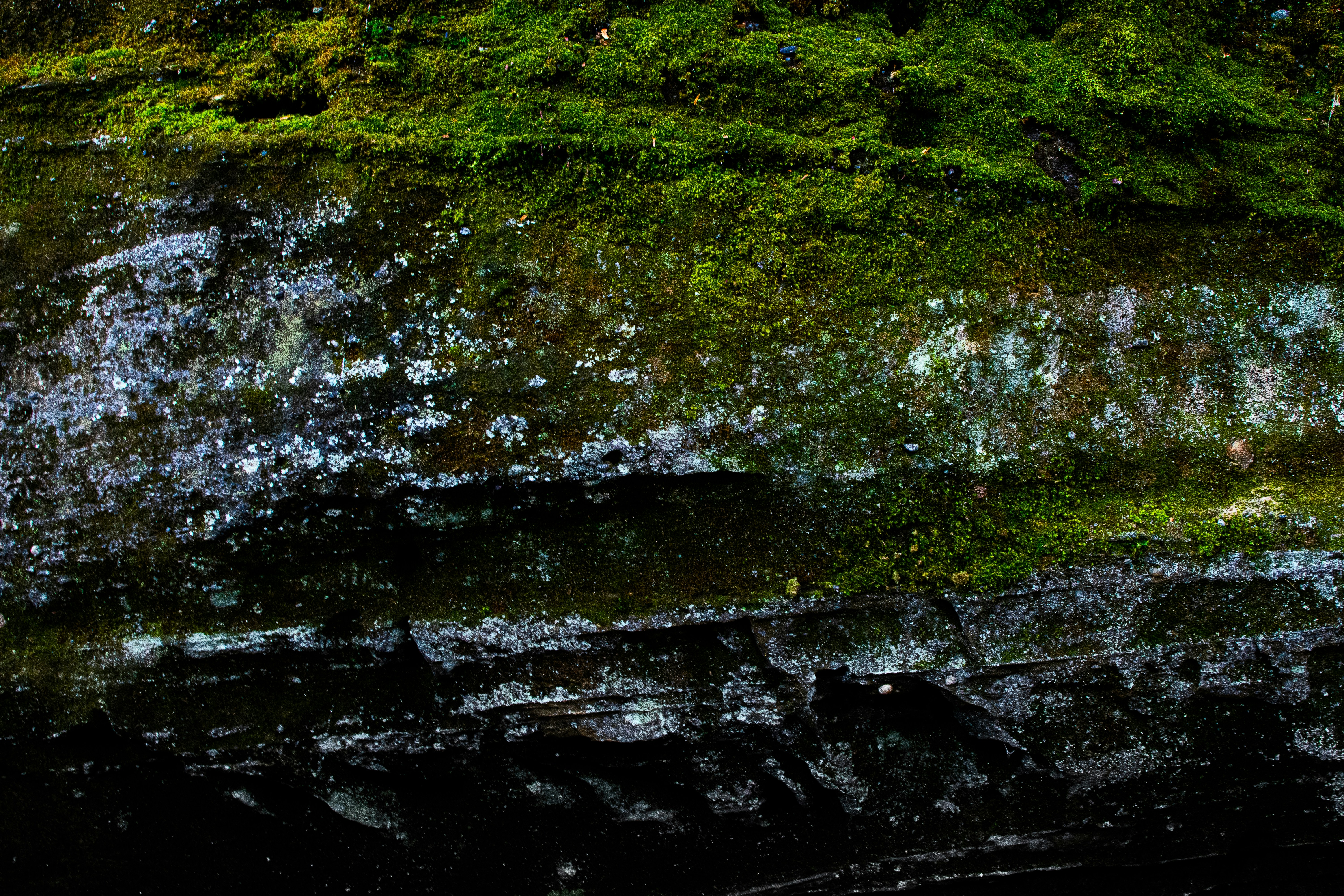 Growth and Yield Response of Pepper to Foliar Application of Carrageenan Plant Growth Promoter Image