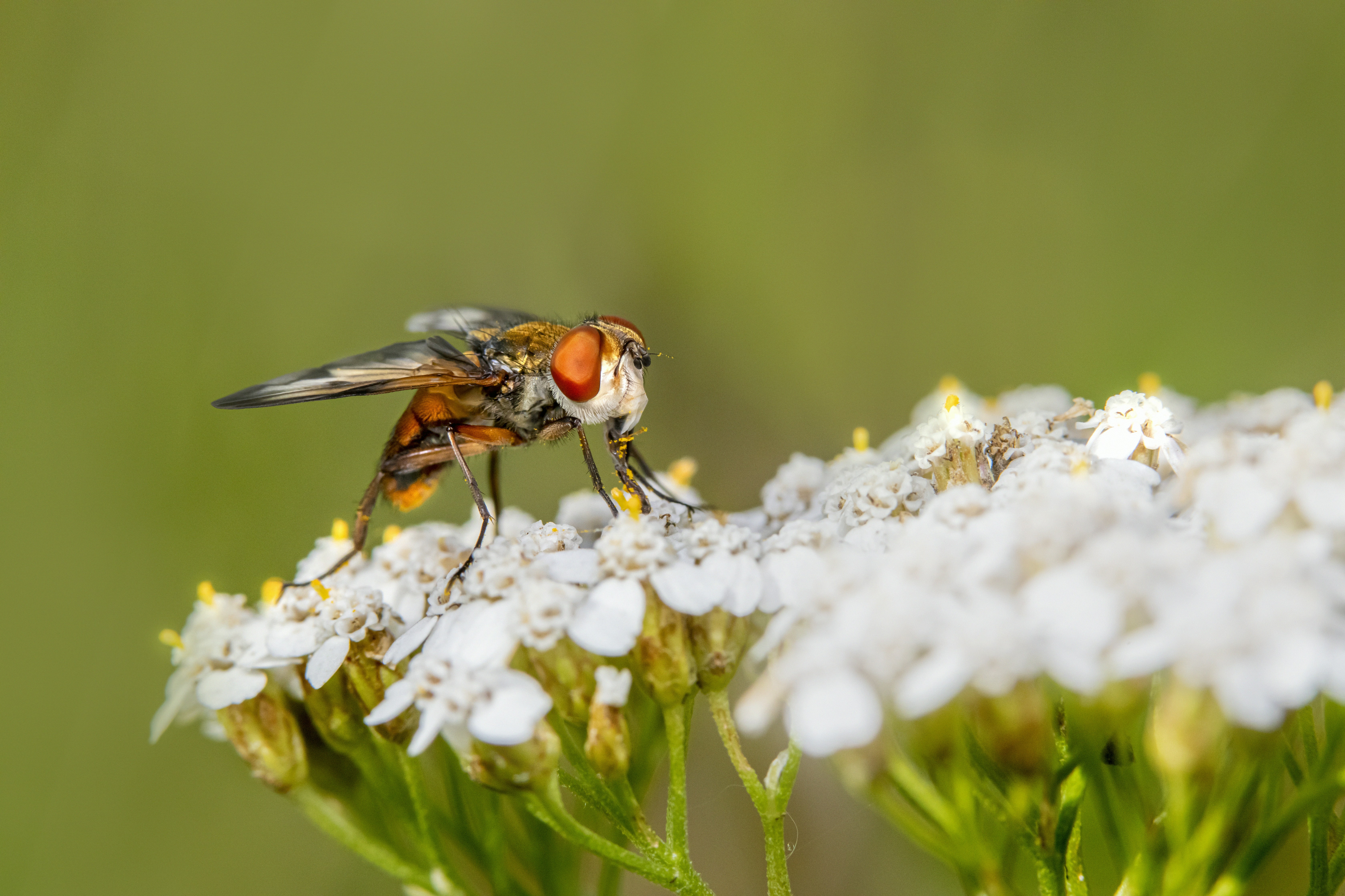 Photo by erik_karits