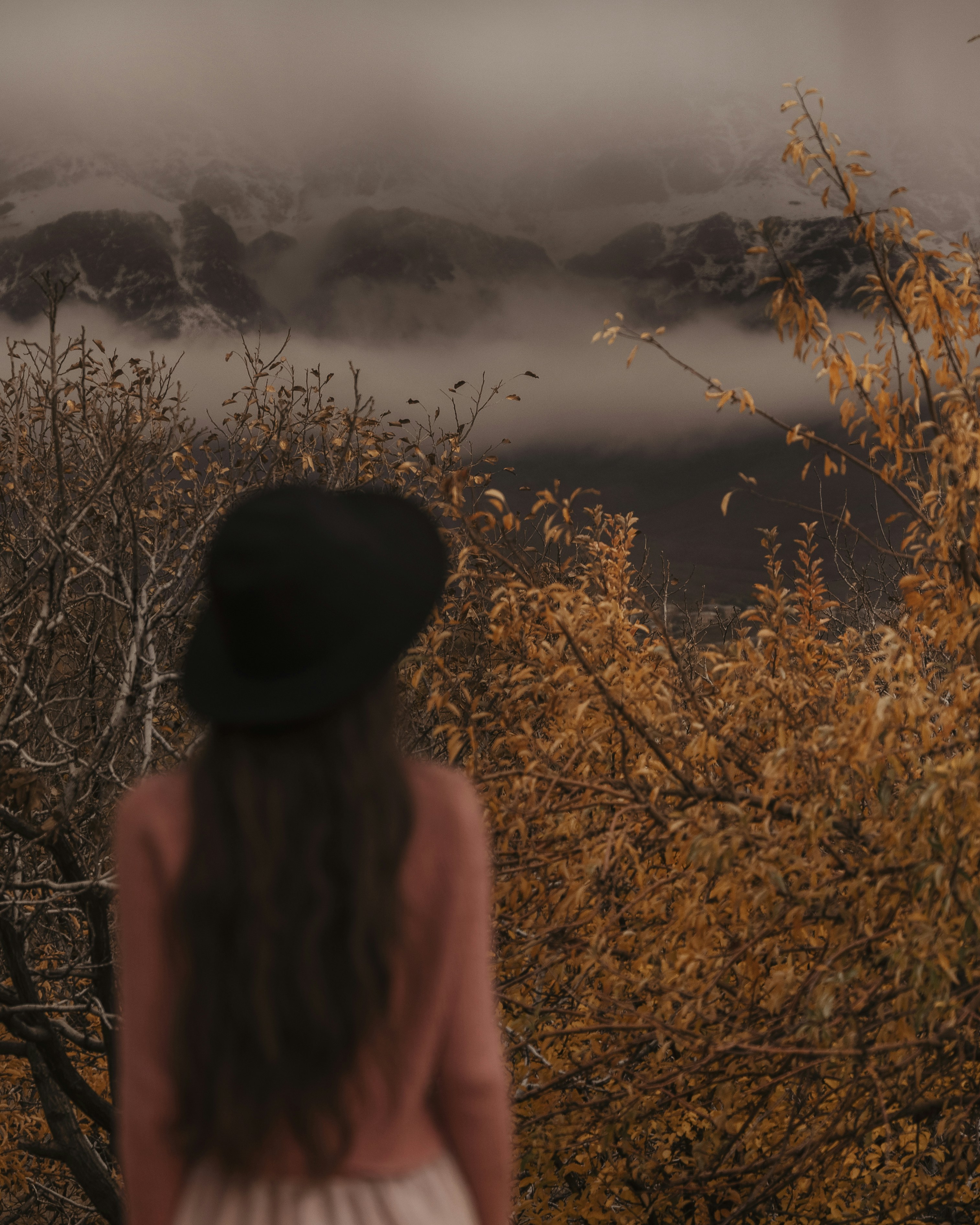 Photo by alikarimibn