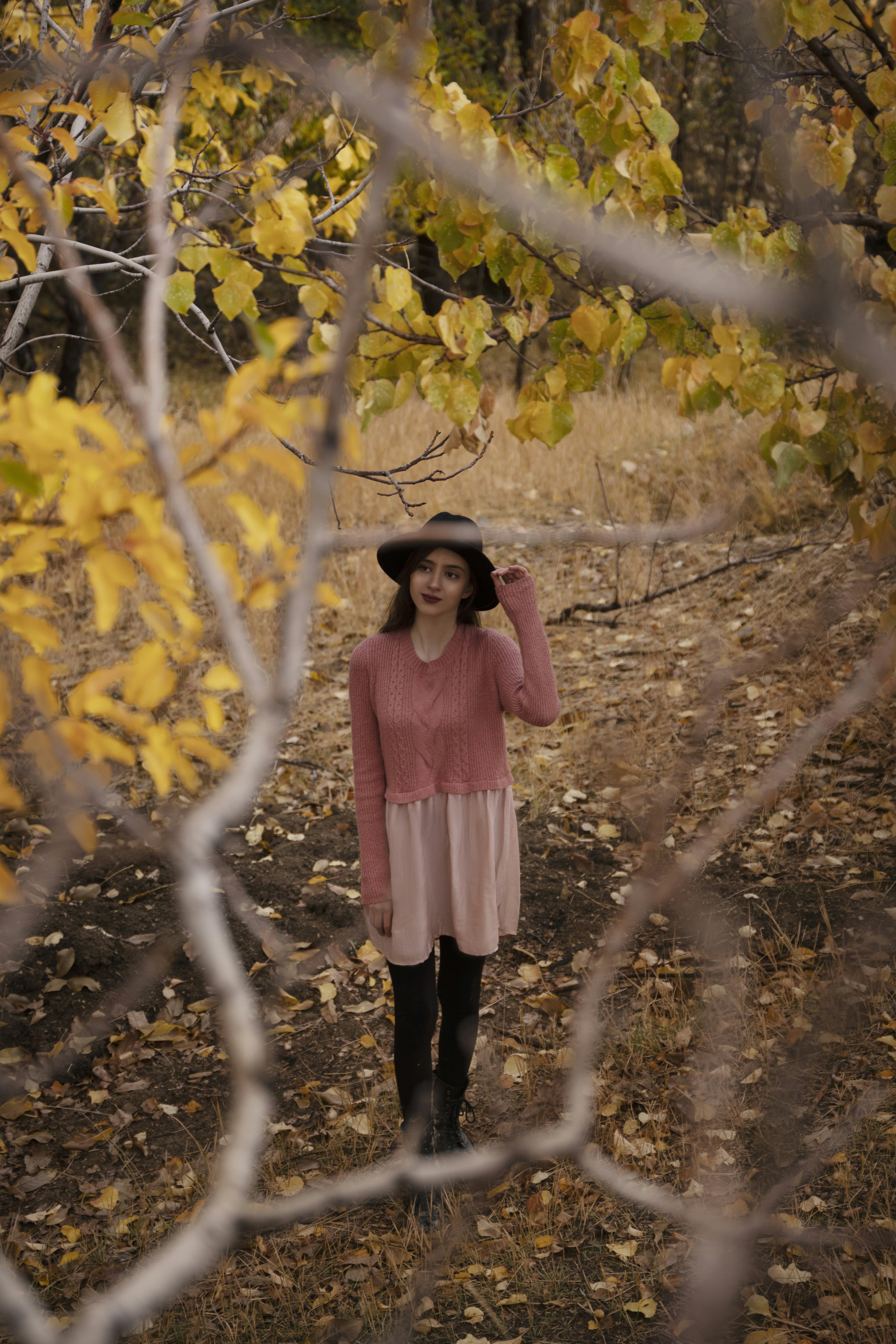 Photo by alikarimibn