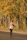A joyful woman walking along a leafy park path in autumn, leaves swirling around her.