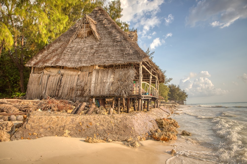 a hut on the shore of a tropical beach