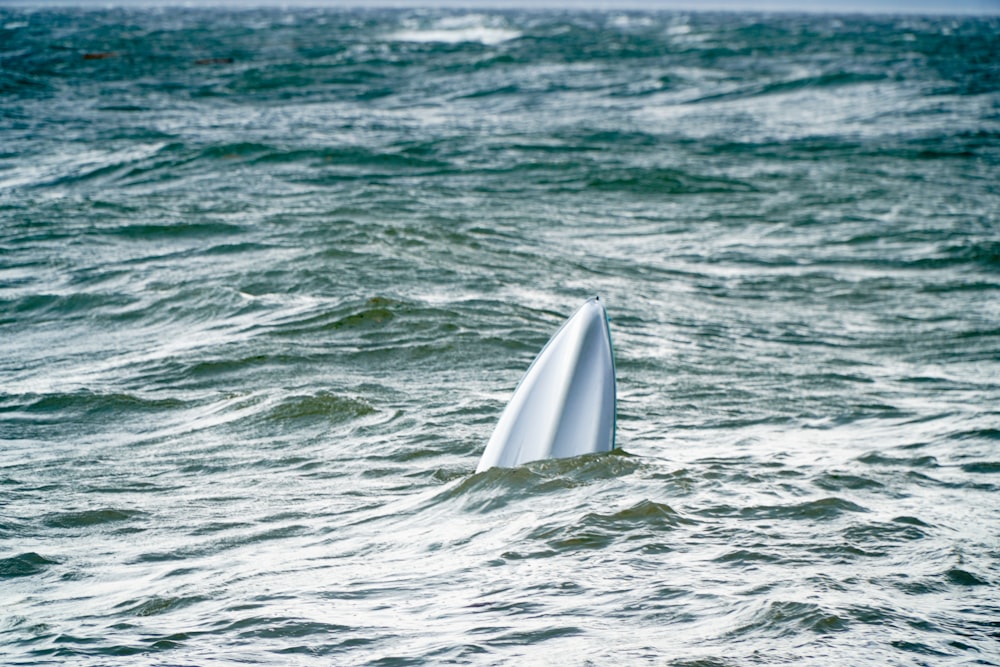 a white object floating on top of a body of water