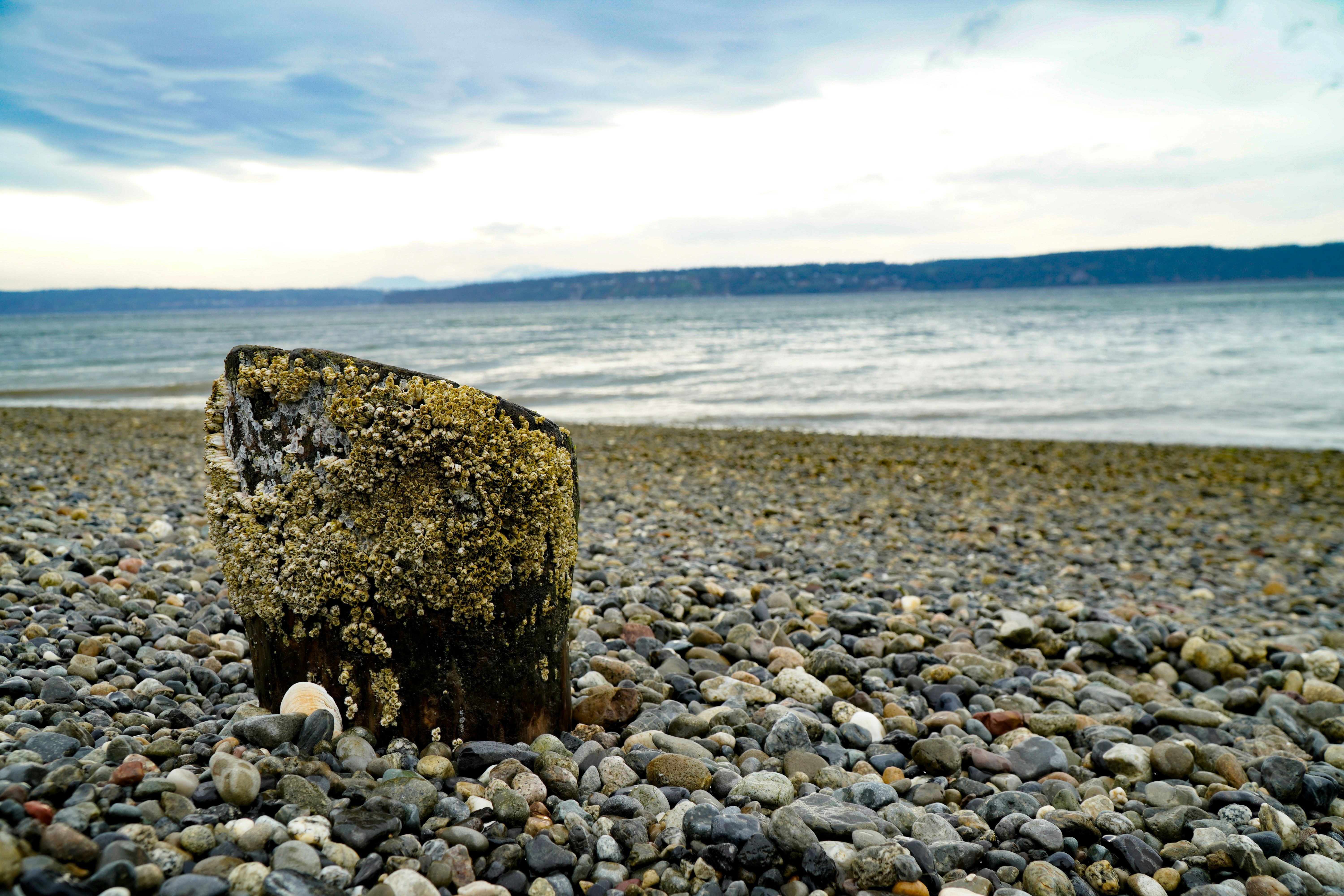 Una roca sentada en la cima de una playa rocosa