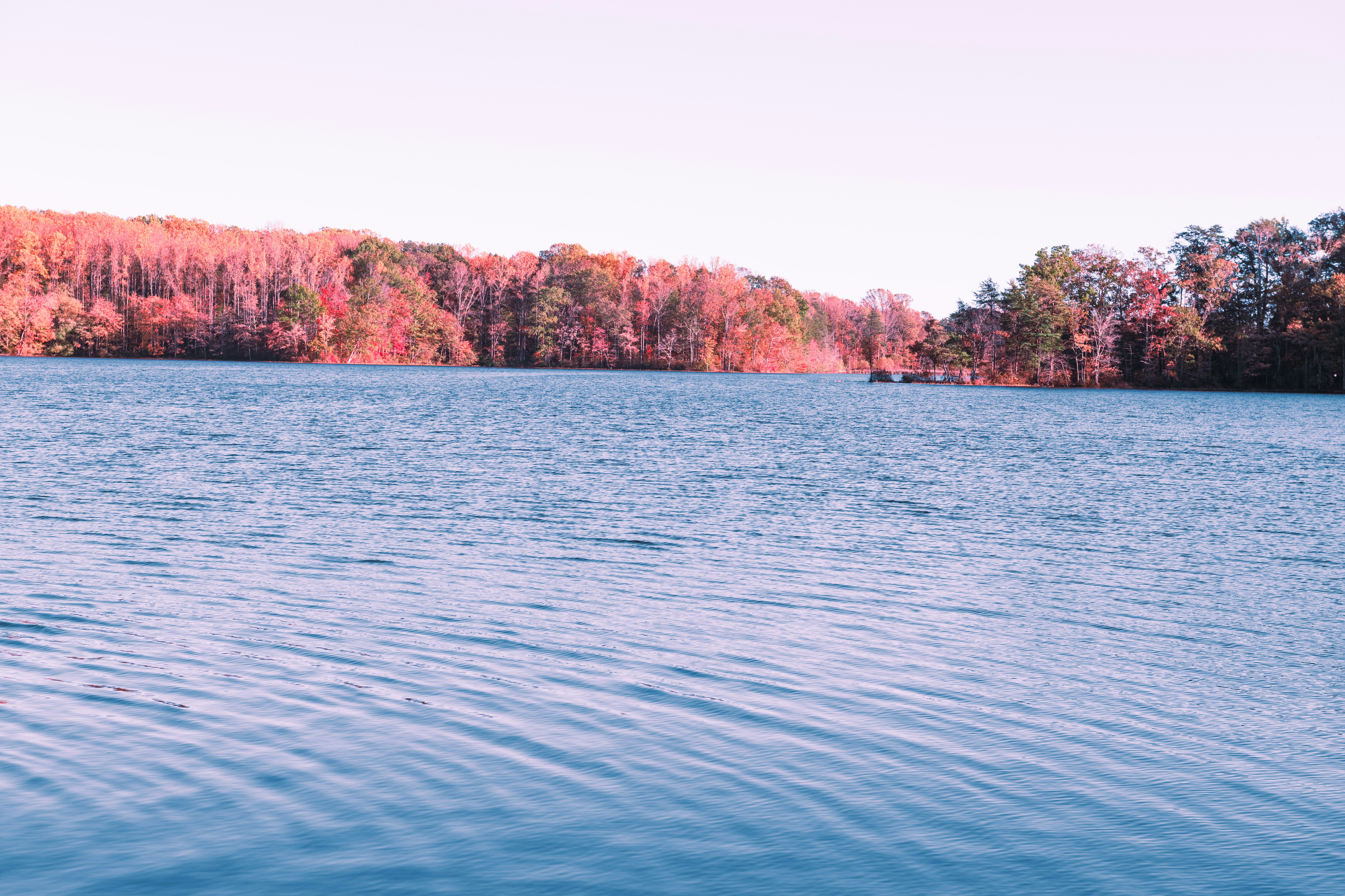 Photo by sriniunsplash