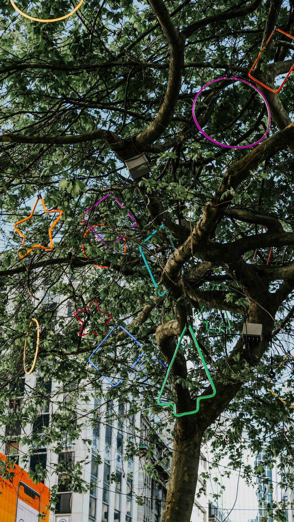 a tree with a bunch of colorful streamers hanging from it's branches