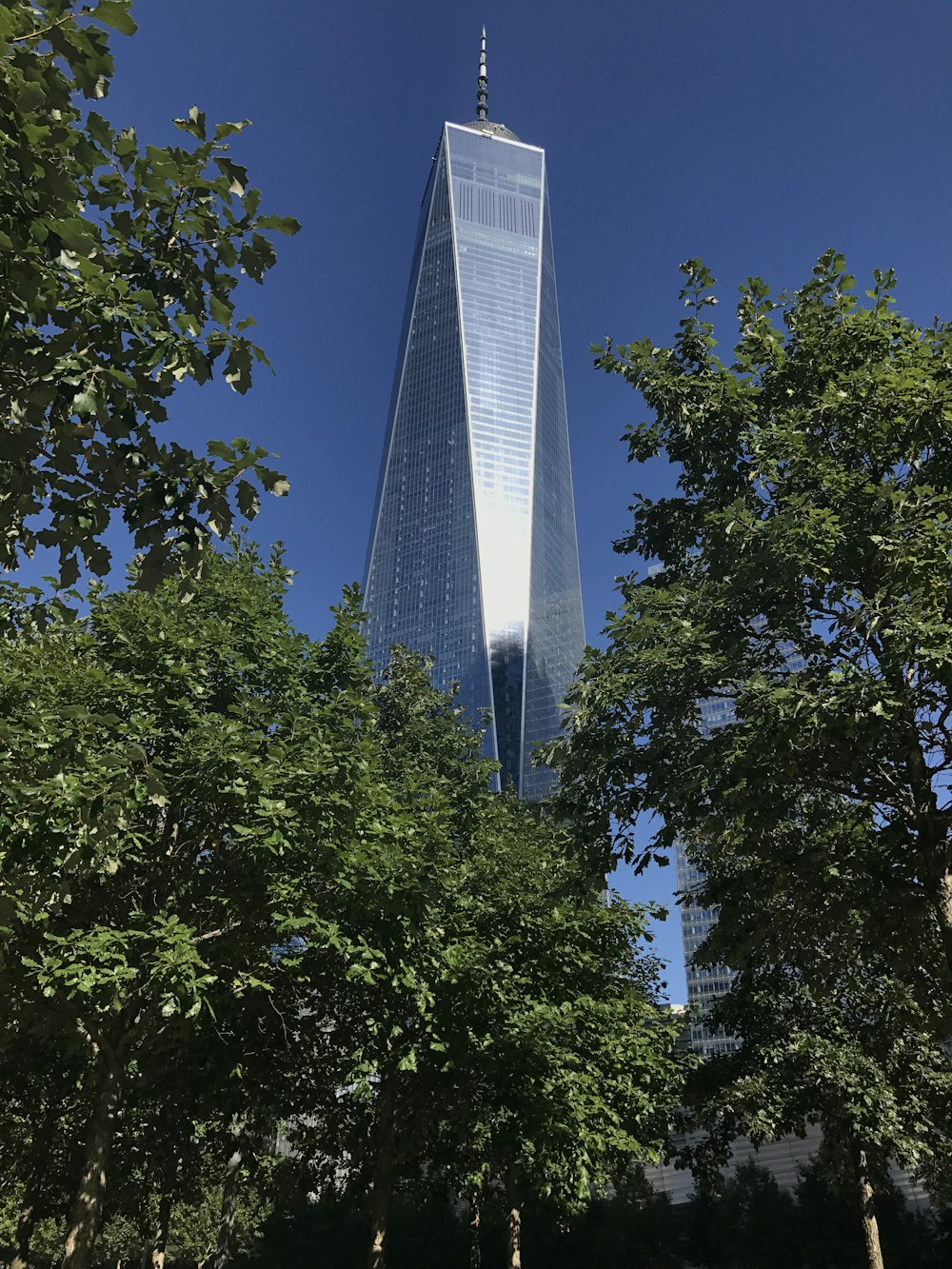 a tall skyscraper towering over a forest of trees