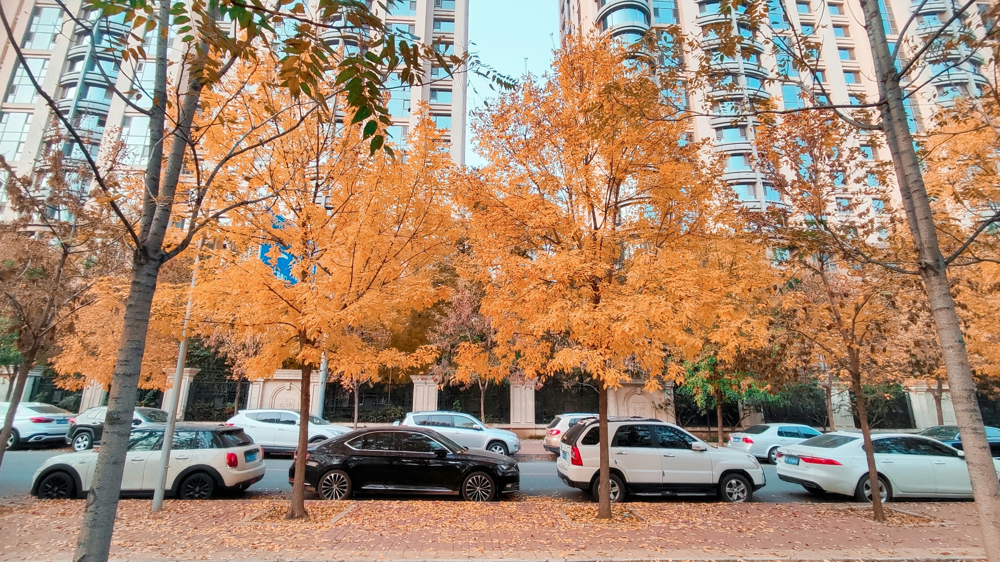 Driver maneuvering a small electric car into a tight city parking space