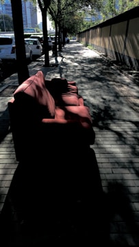 A reddish-brown couch is placed on a sunlit sidewalk lined with trees and parked cars. The trees cast shadows along the walkway, creating a dappled light effect. A high-rise building can be seen in the background.