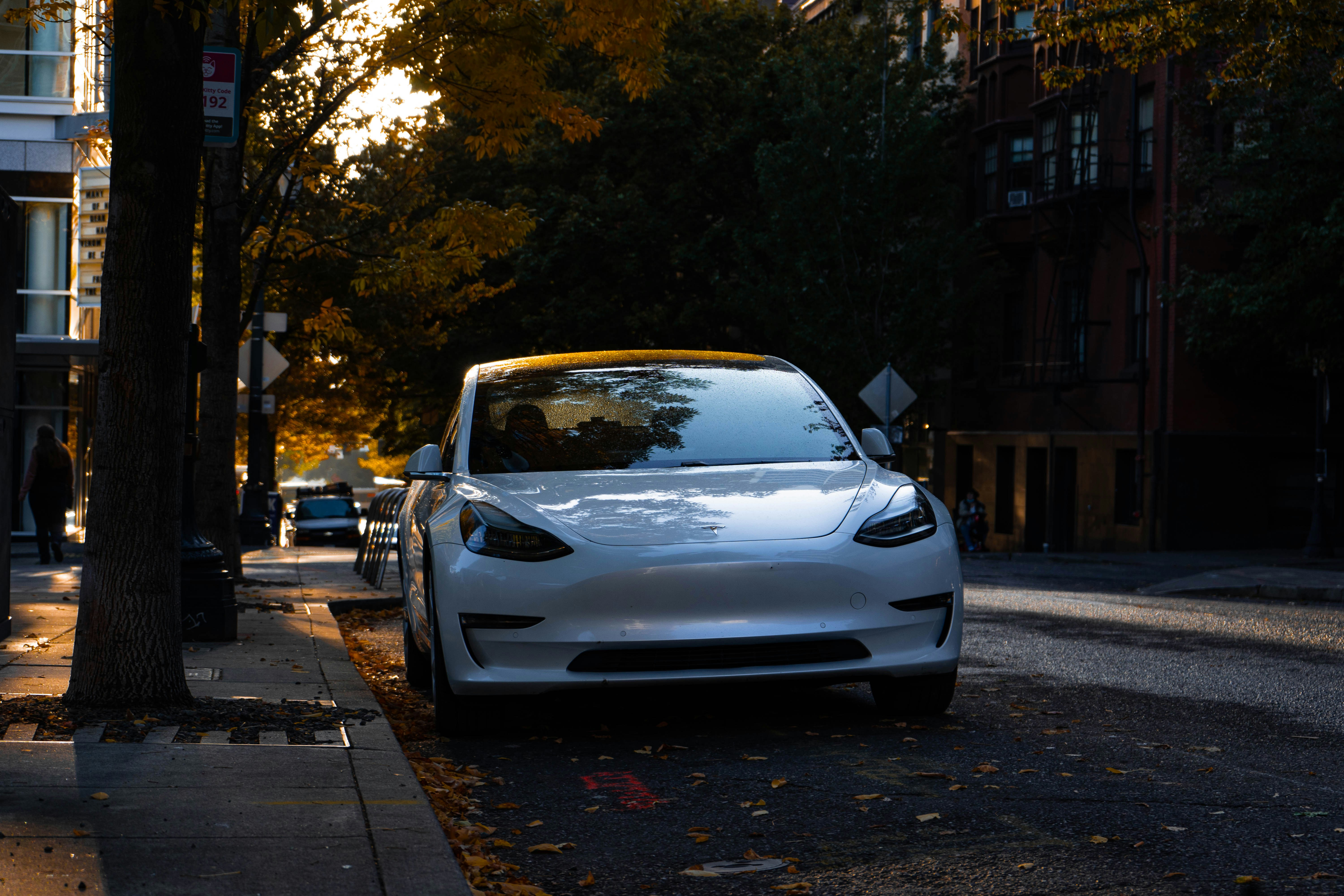 Photo by carnagemedia