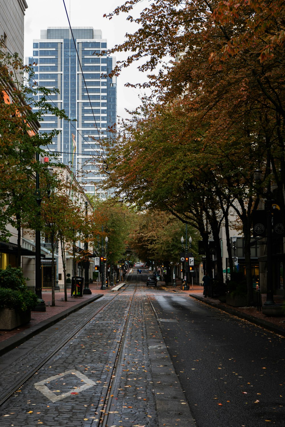 a city street lined with trees and buildings