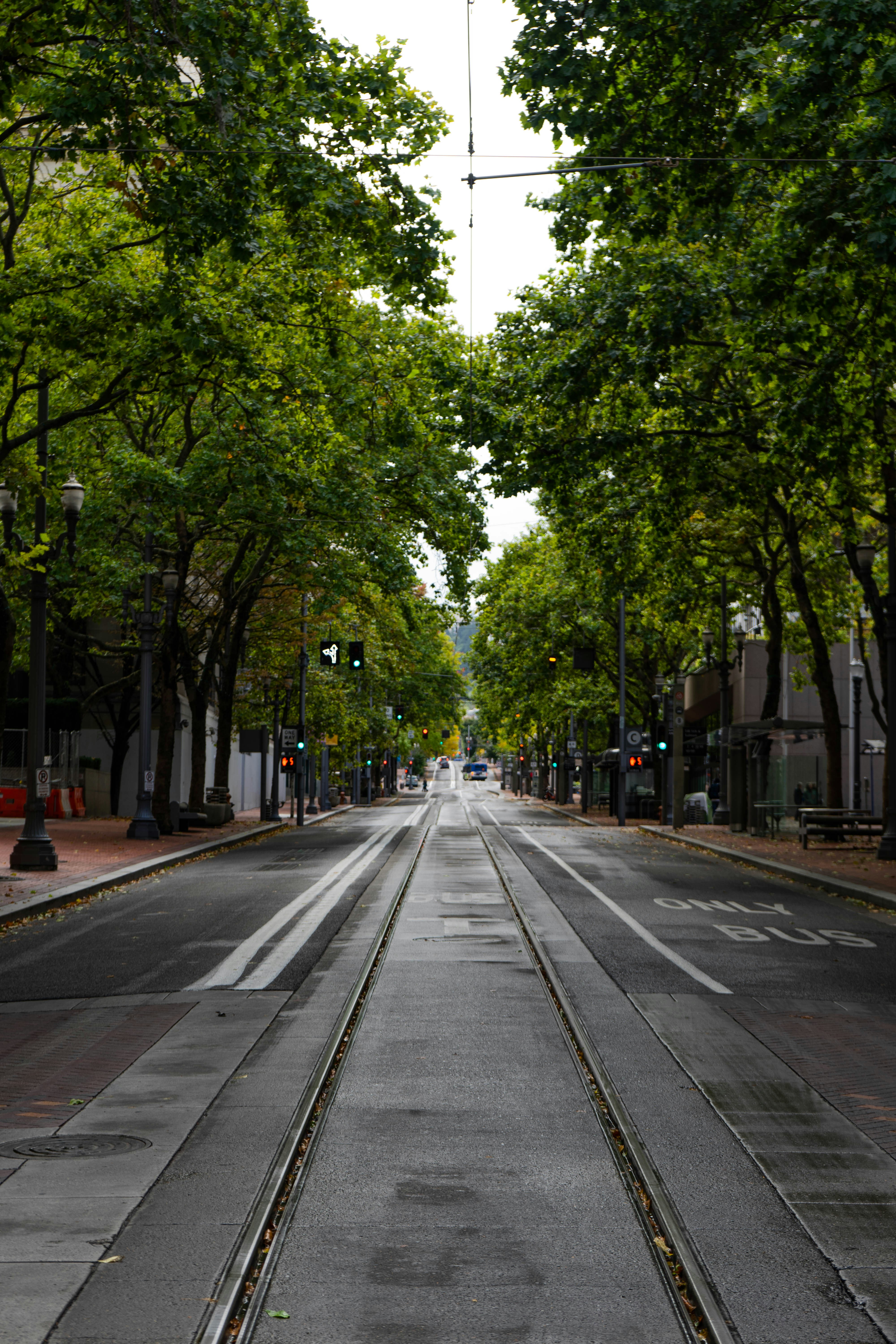a street lined with trees next to a train track