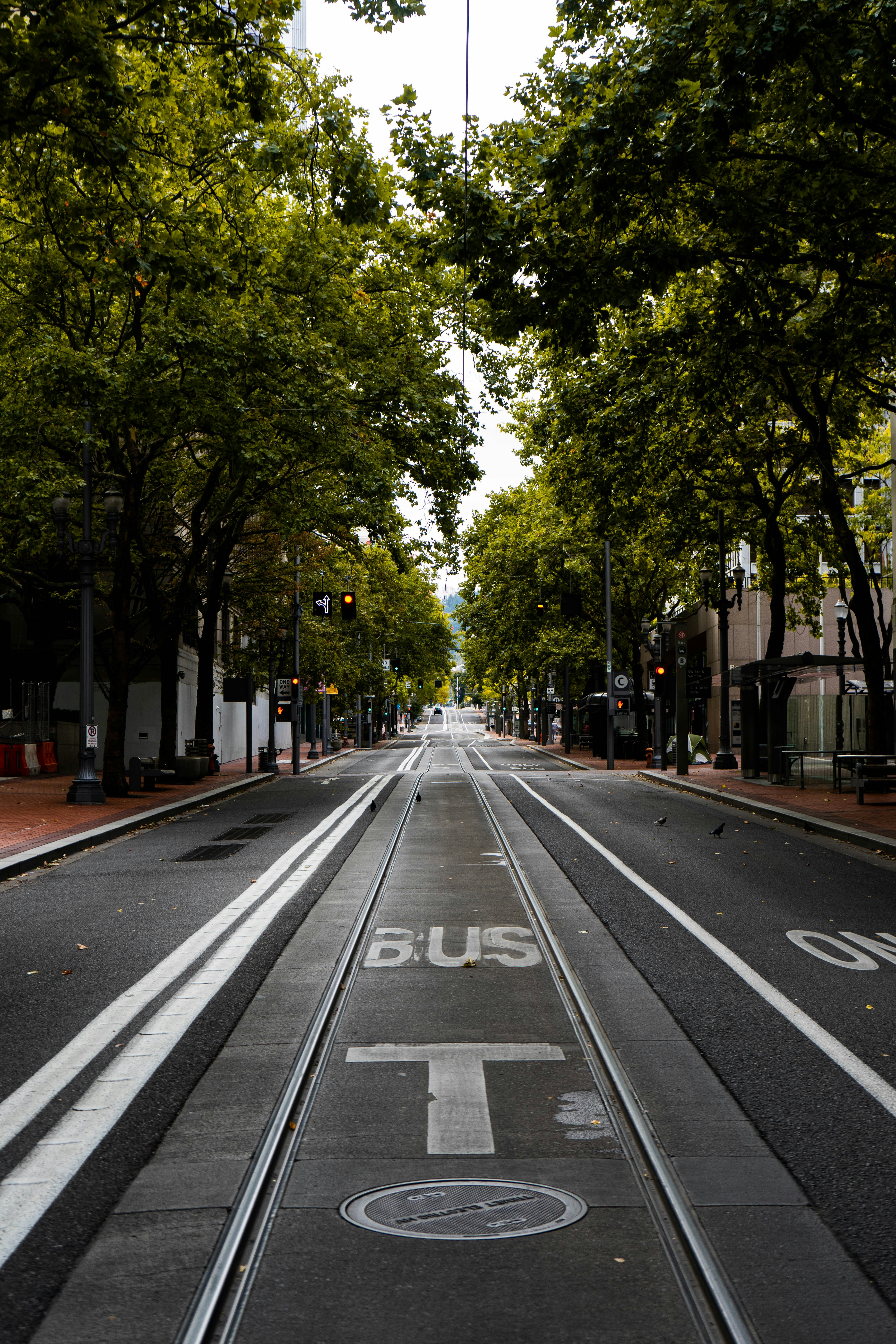 Photo by carnagemedia