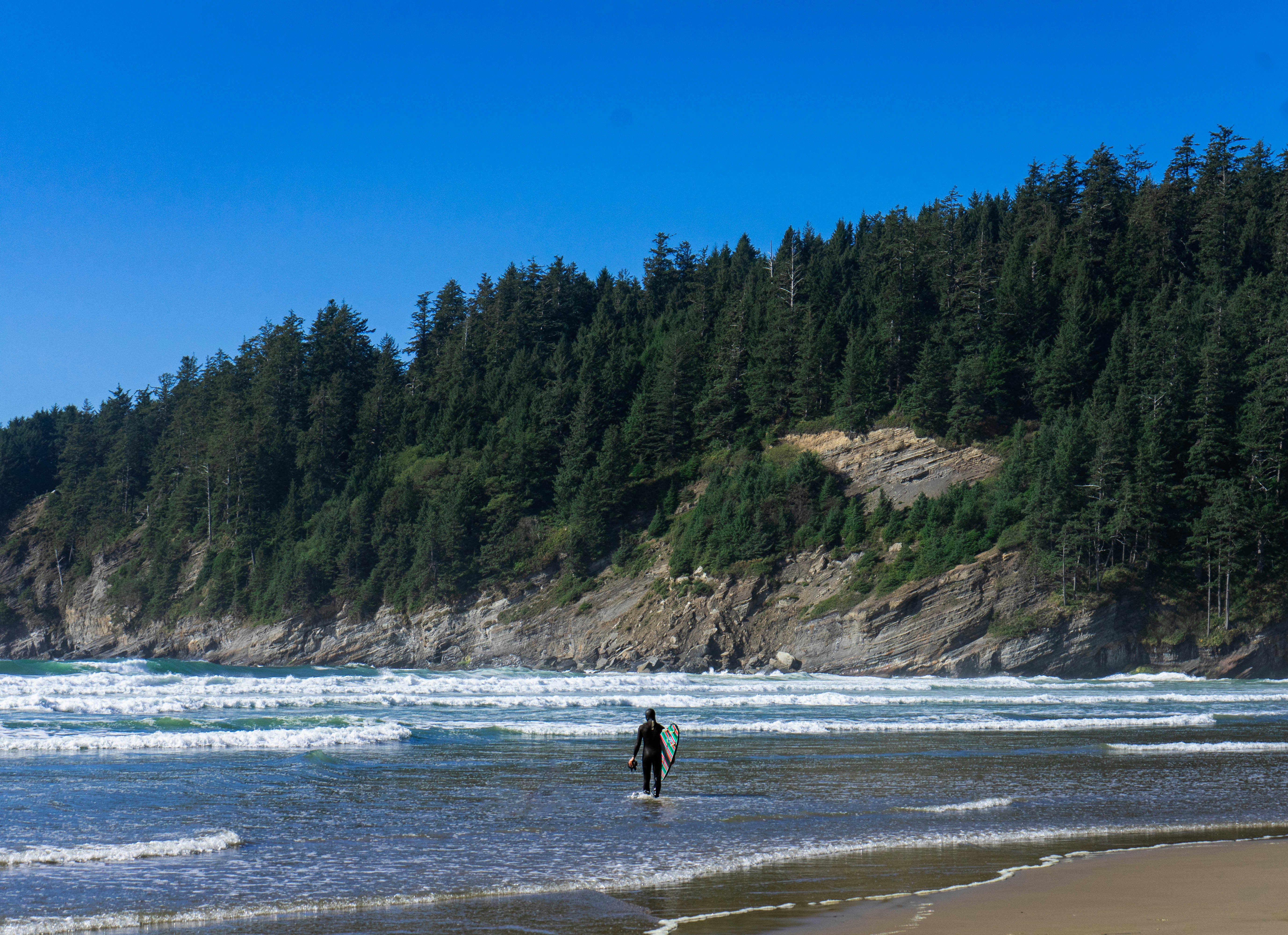 Photo by carnagemedia