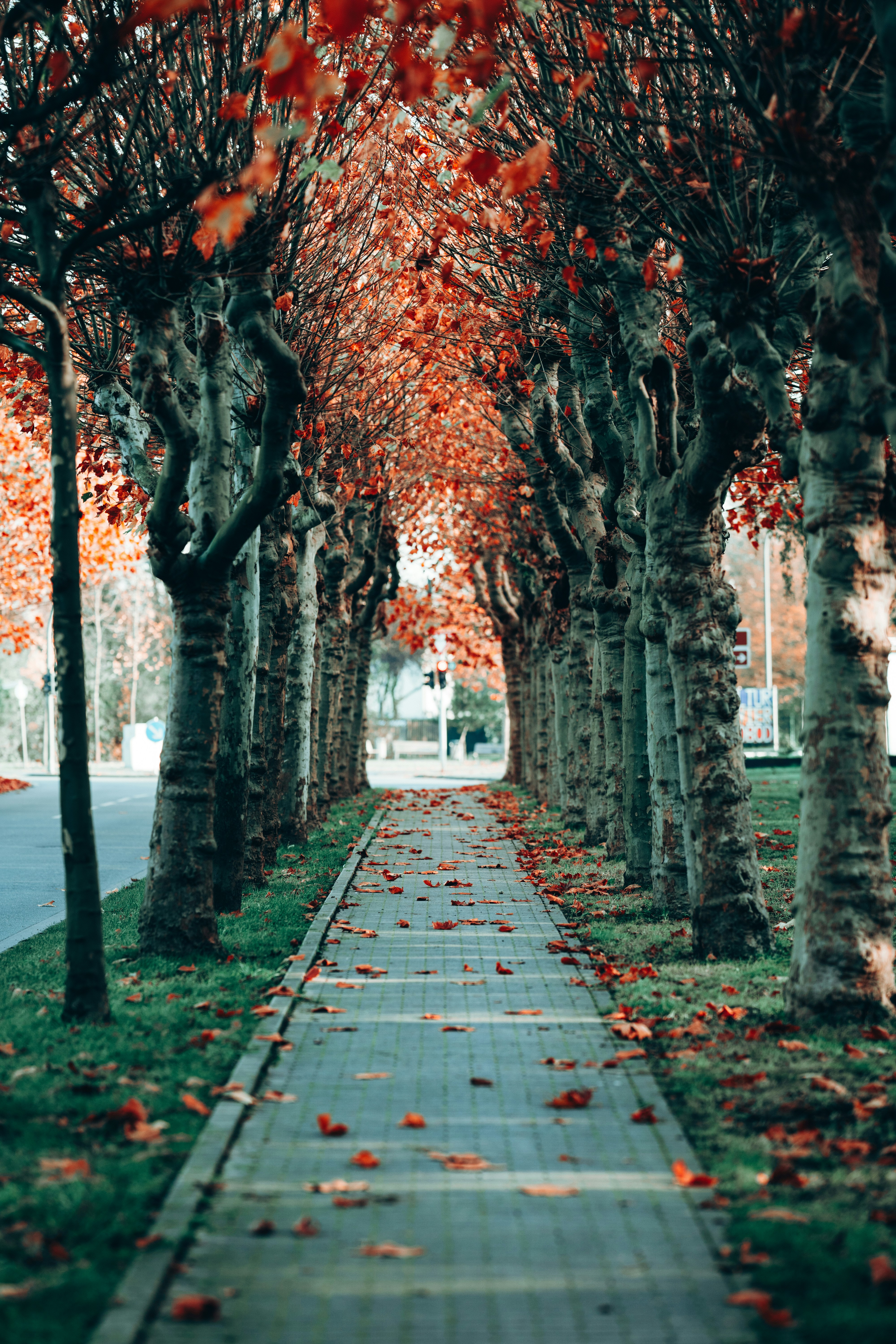 Photo by omarvellous14