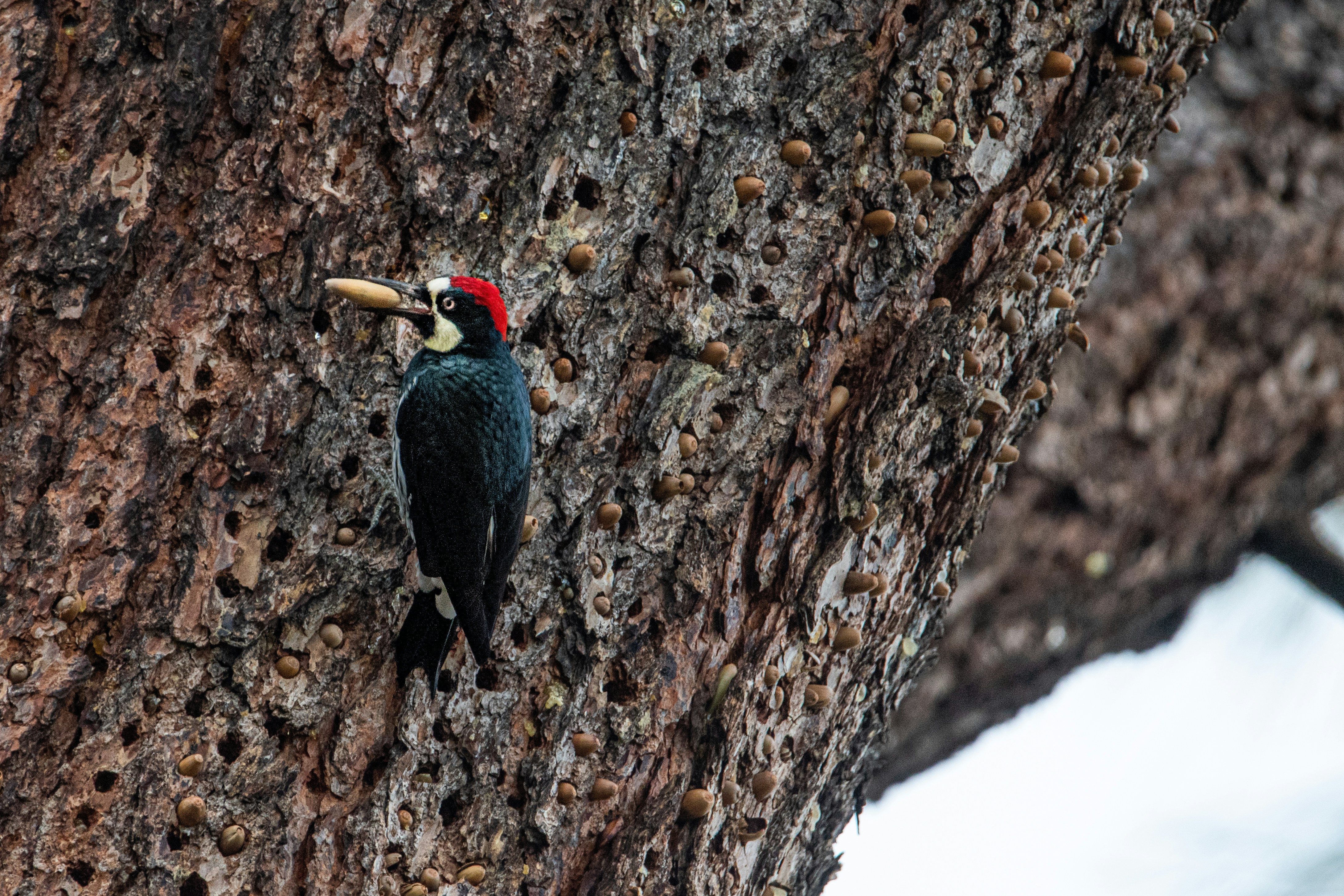 Photo by elisastonephotography