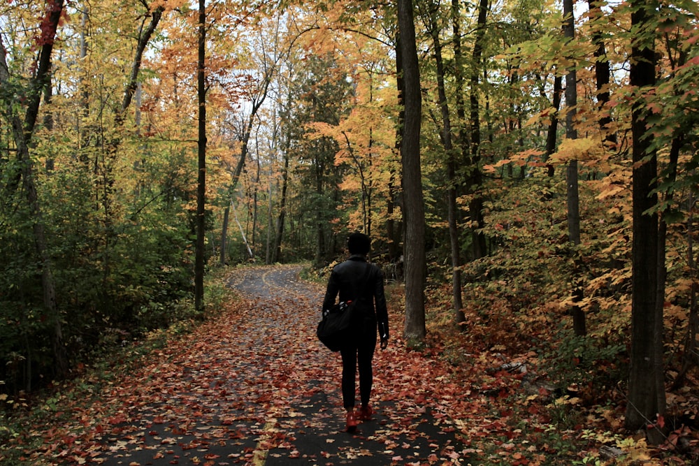 a person walking down a path in the woods