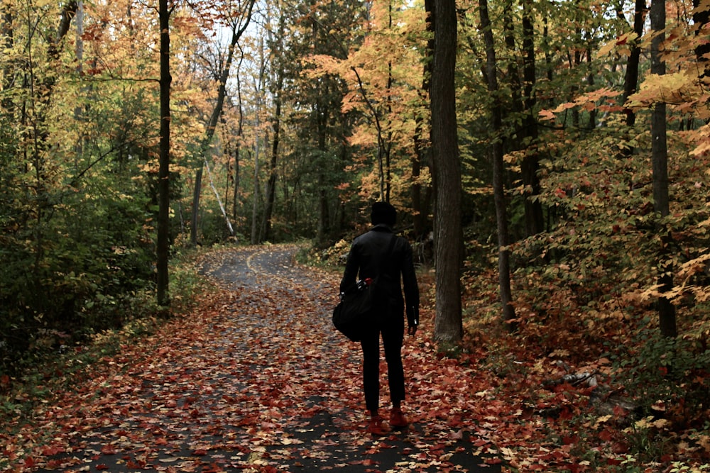 a person walking down a path in the woods