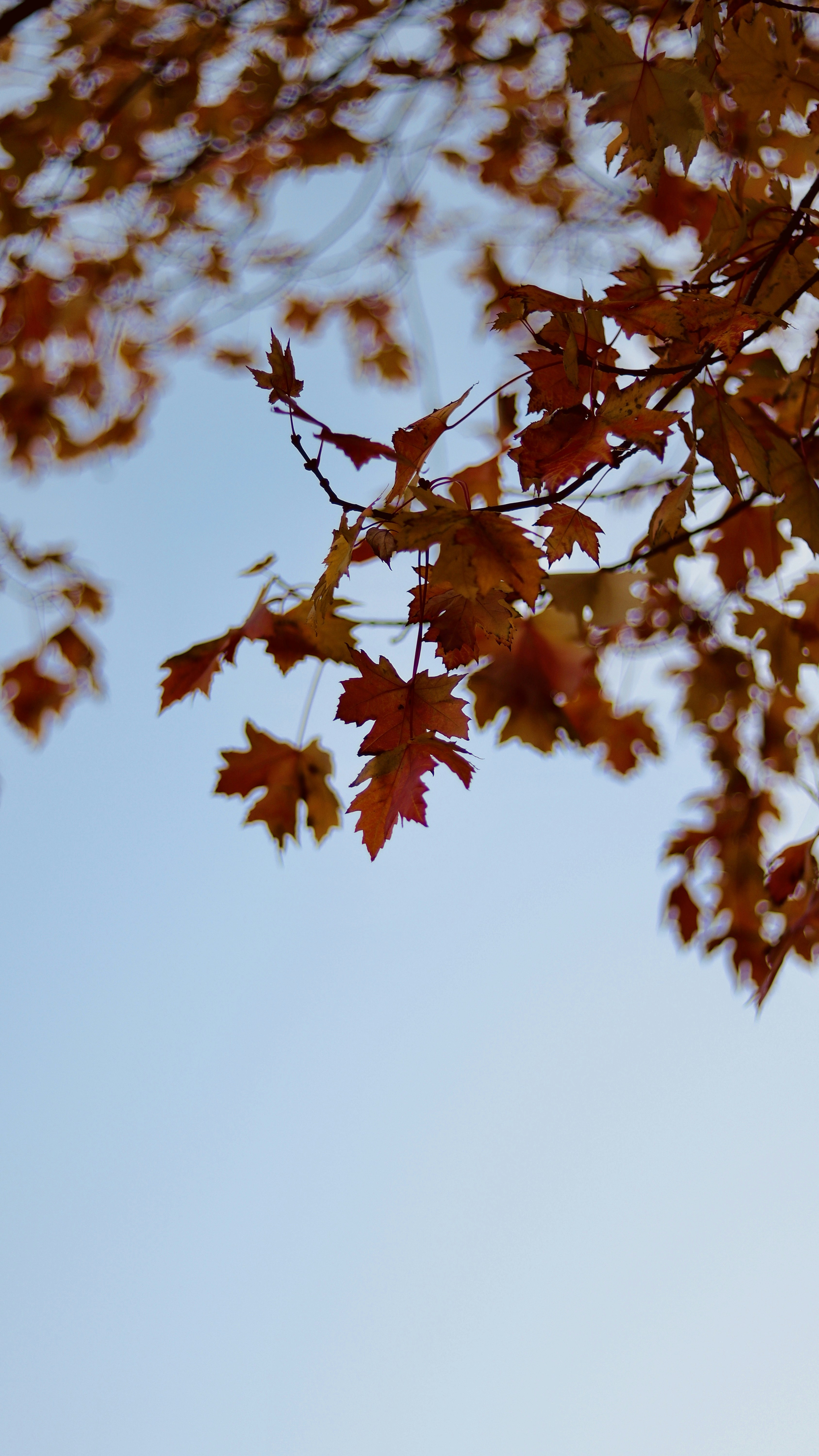 Photo by sangam_sharma