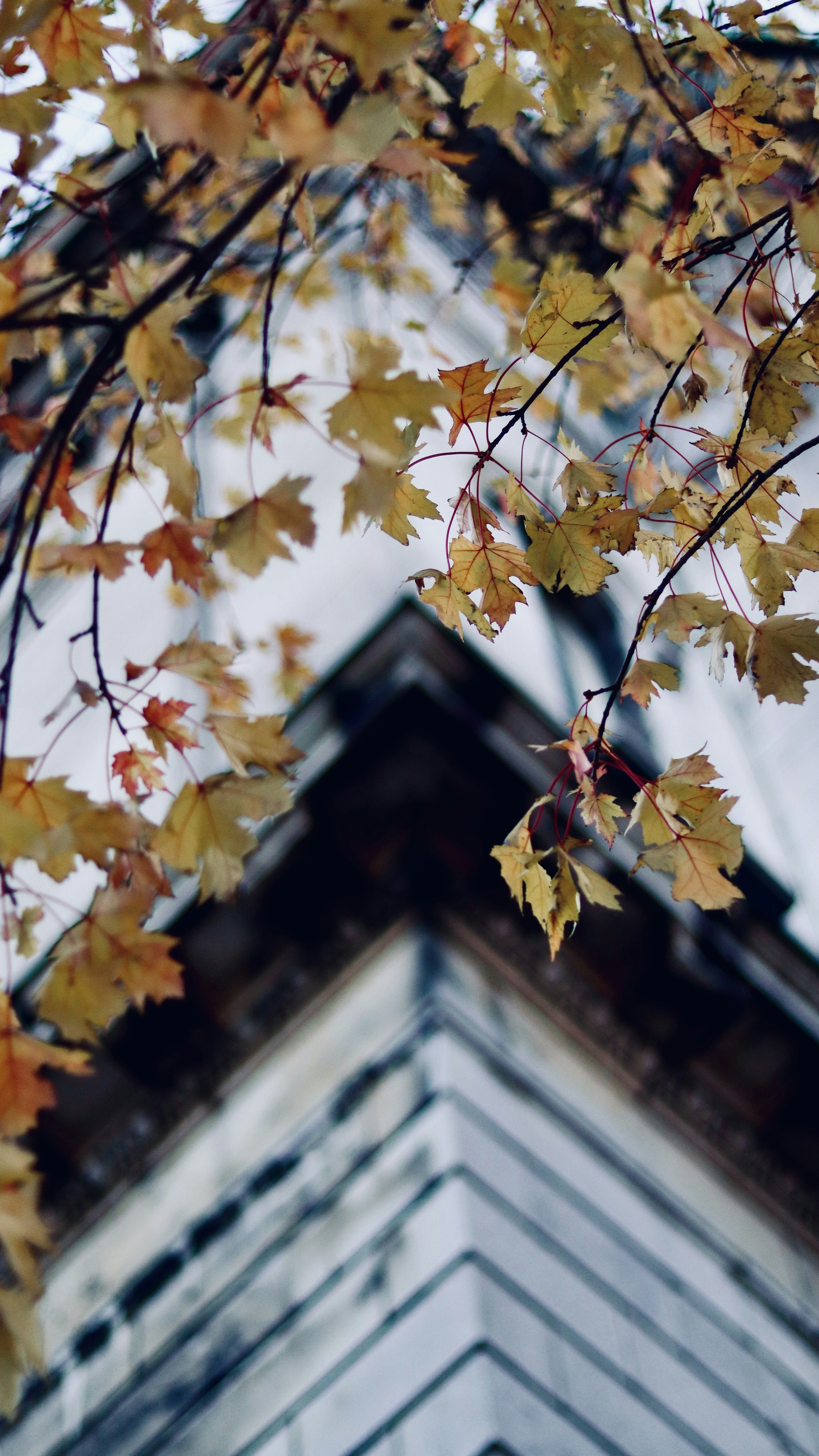 Photo by sangam_sharma