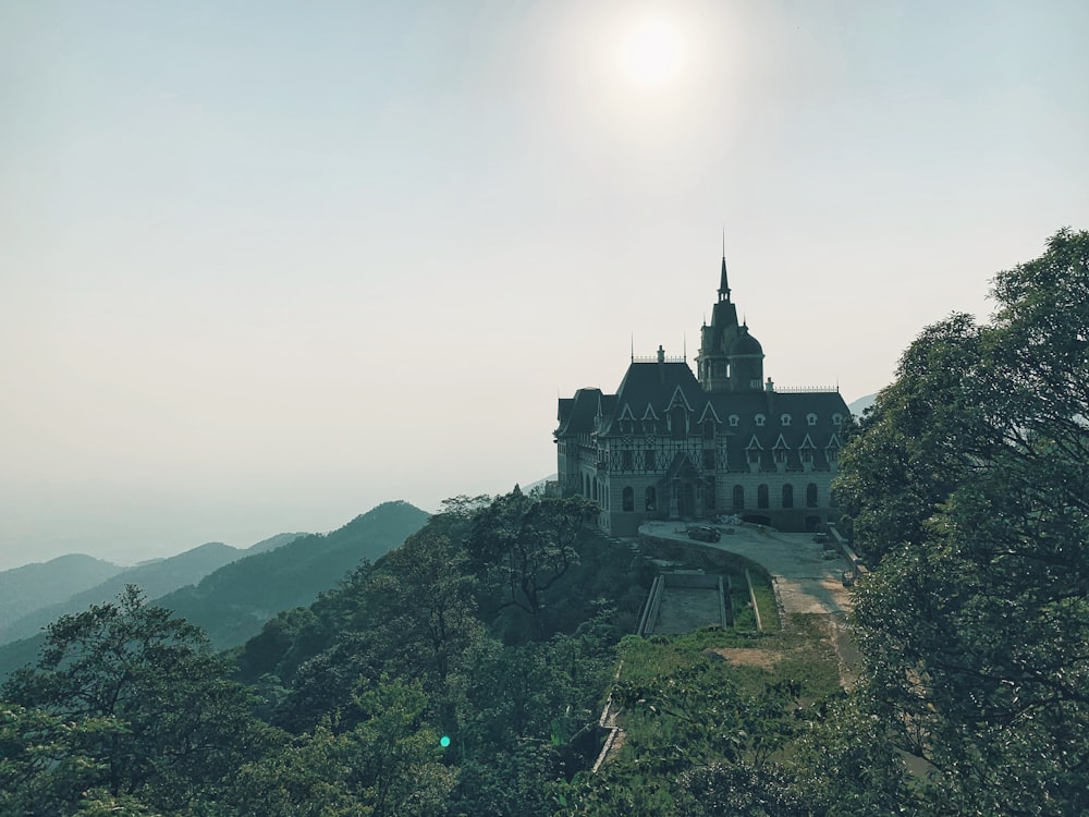 a castle on top of a hill surrounded by trees