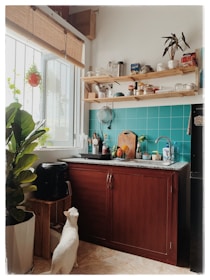 A cozy kitchen setting with a white cat looking up towards the counter. The room is well-lit by a window with a bamboo shade. Wooden shelves hold jars, mugs, and boxes, while the countertop features various kitchen items and a basket of fruits. A mix of green and botanical elements adds to the warm atmosphere.