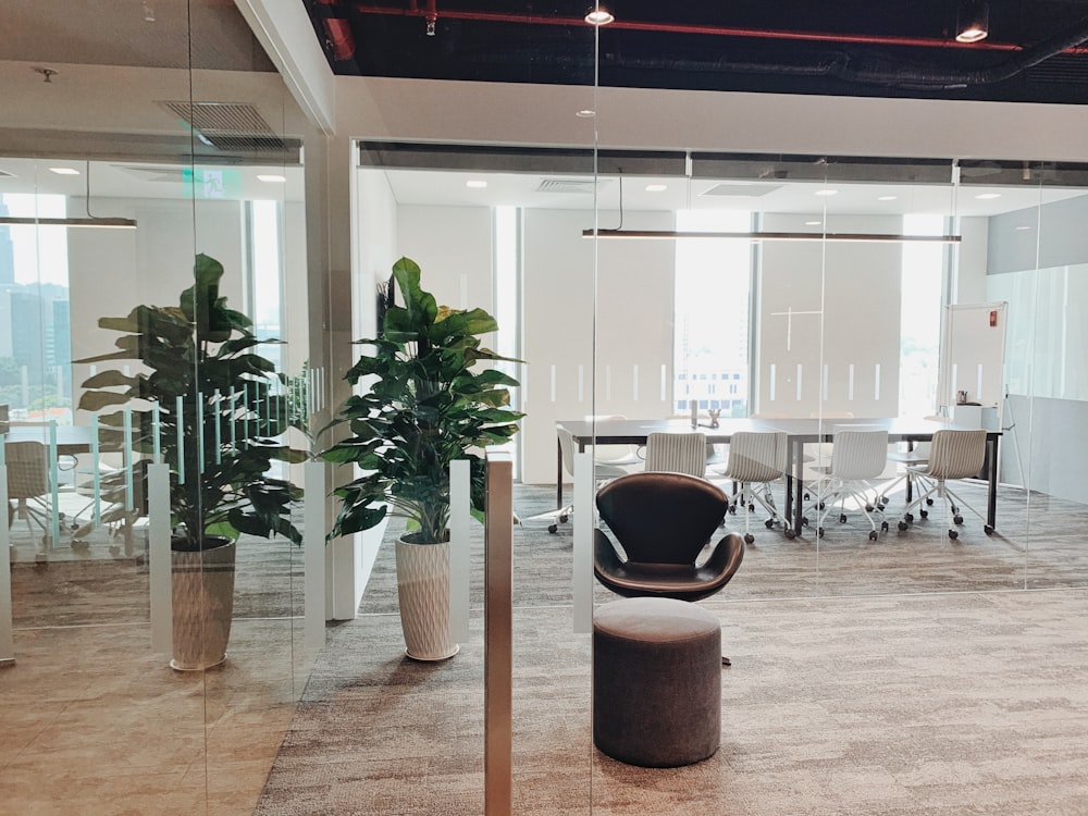 ein Büro mit einem Stuhl und einer Topfpflanze