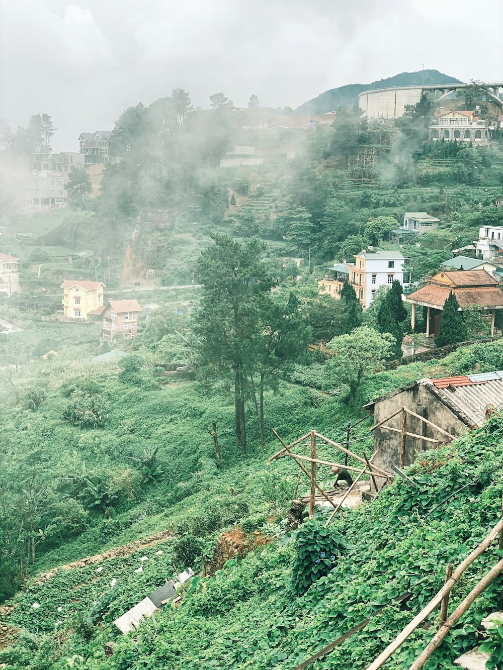 a lush green hillside covered in lots of trees