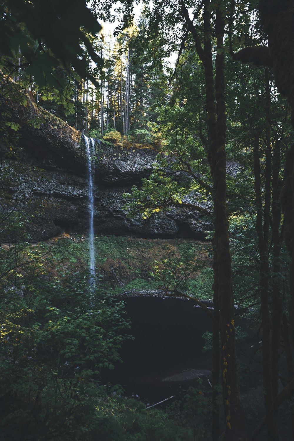 Una cascata nel mezzo di una foresta