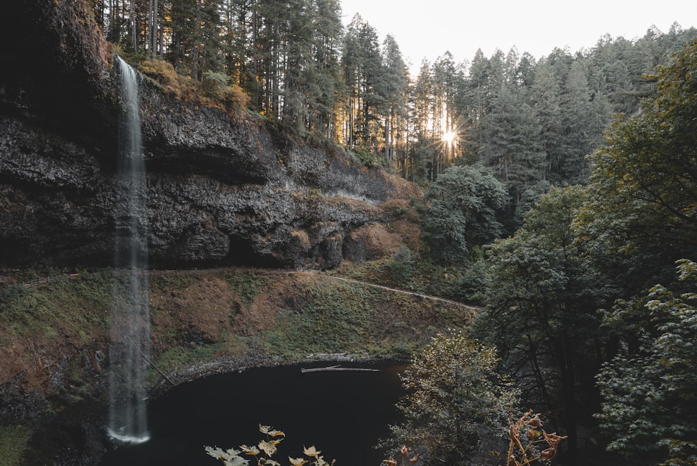 a waterfall in the middle of a forest