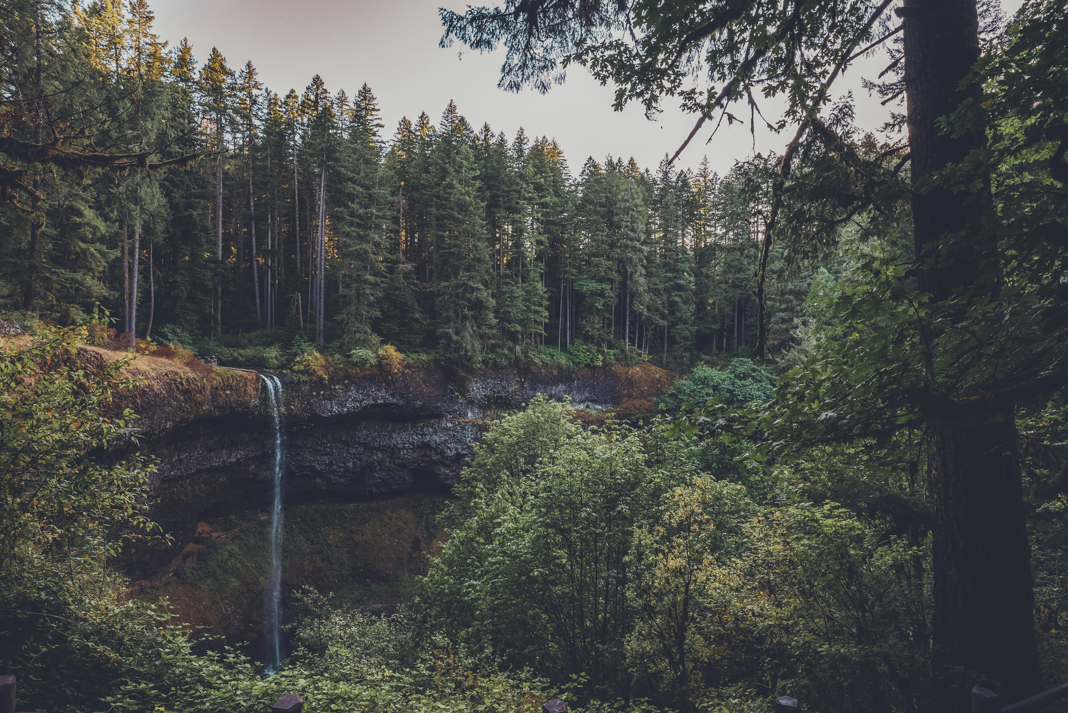 a waterfall in the middle of a forest