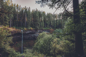 Old growth forest waterfall similar to Piney Falls State Natural Area