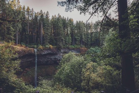 Old growth forest waterfall similar to Piney Falls State Natural Area