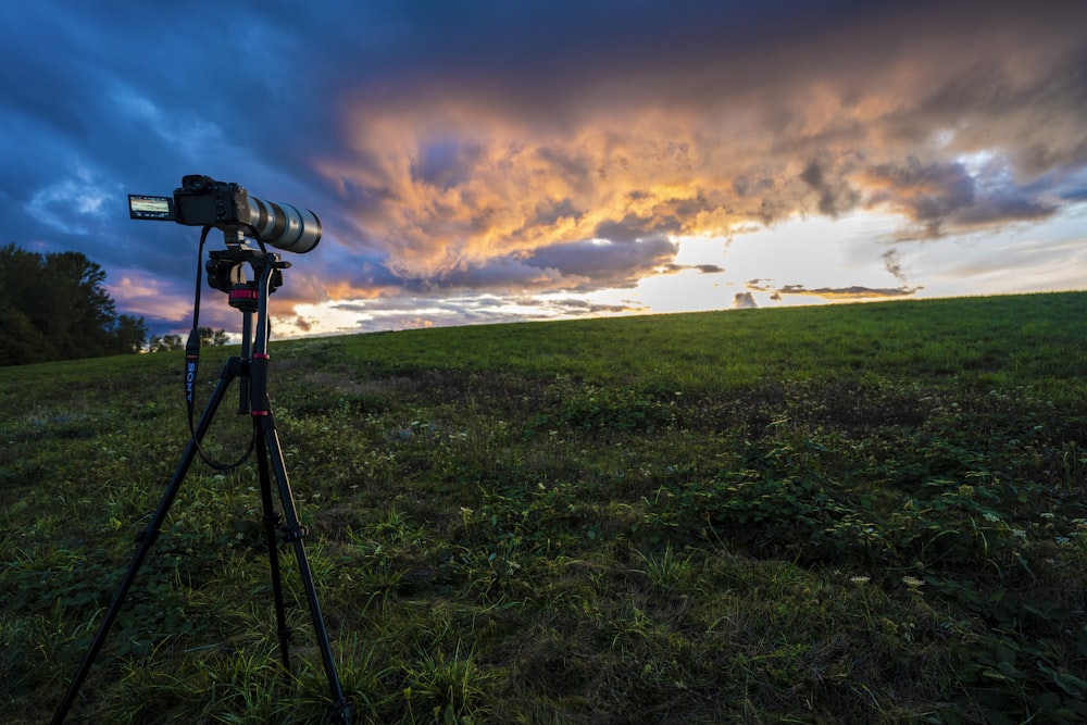 una fotocamera installata su un treppiede in un campo
