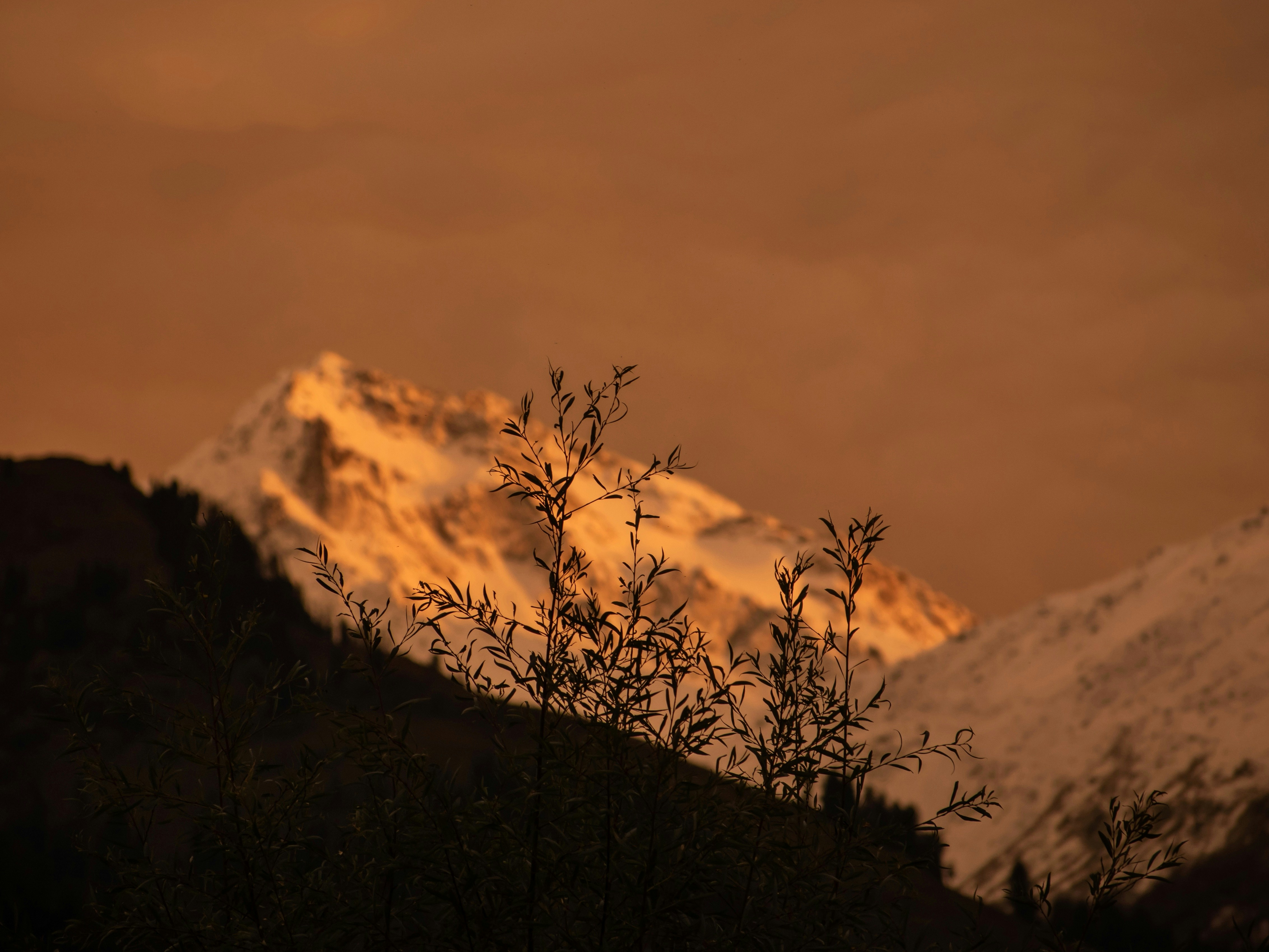 Photo by nikhilsingh291