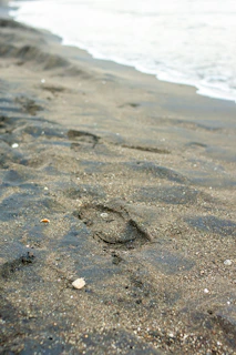 A series of footprints fading along a sandy beach as waves gently wash over them.