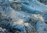 A close-up view of a textured black rocky surface with patches of fine golden sand sprinkled across it. The surface appears uneven and rugged, possibly formed from volcanic rock.