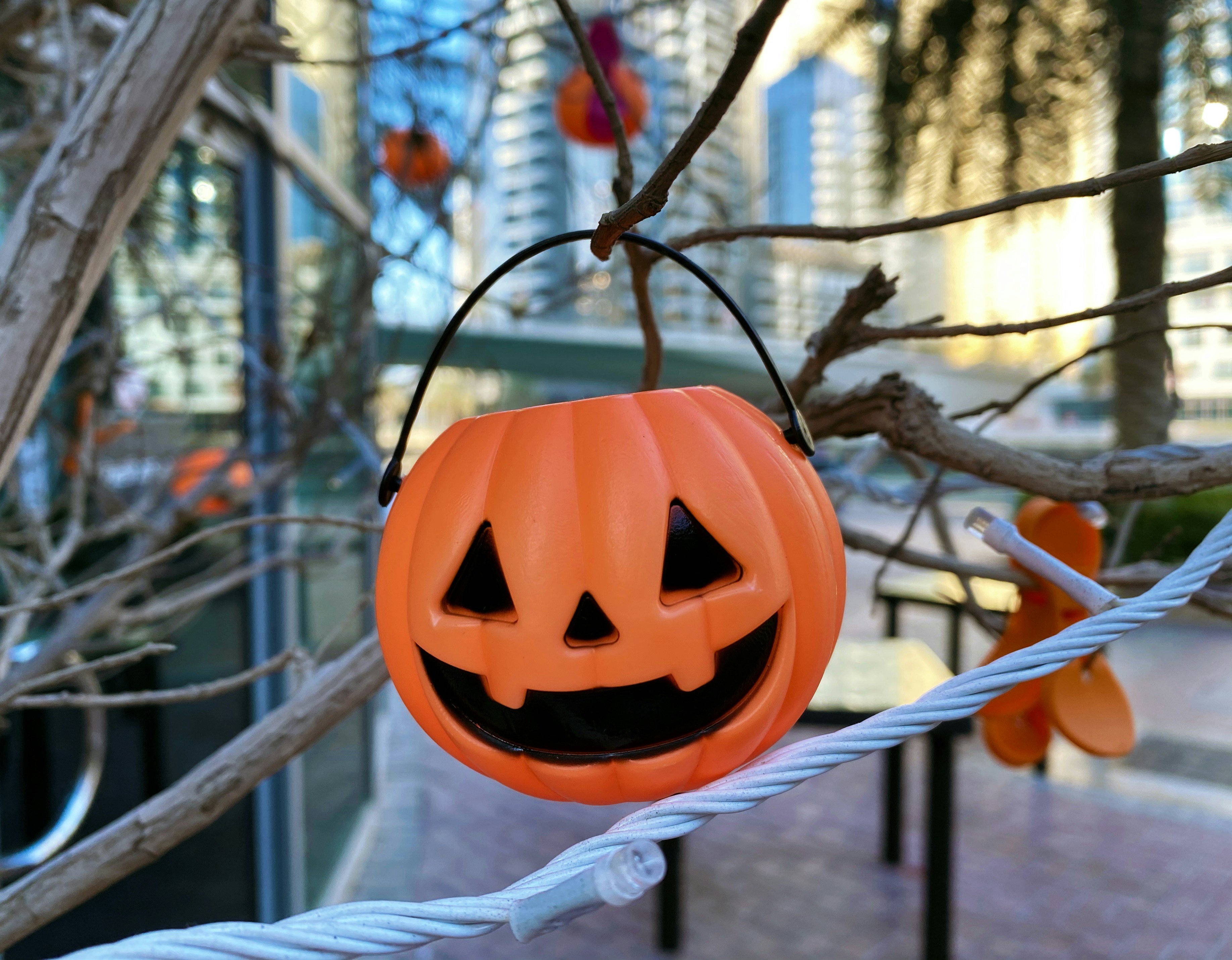Three Treats Every Louisiana Adult Would Love to Get in Their Halloween Bucket