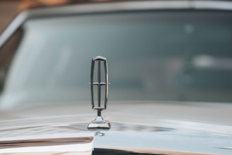a close up of the hood ornament of a classic car