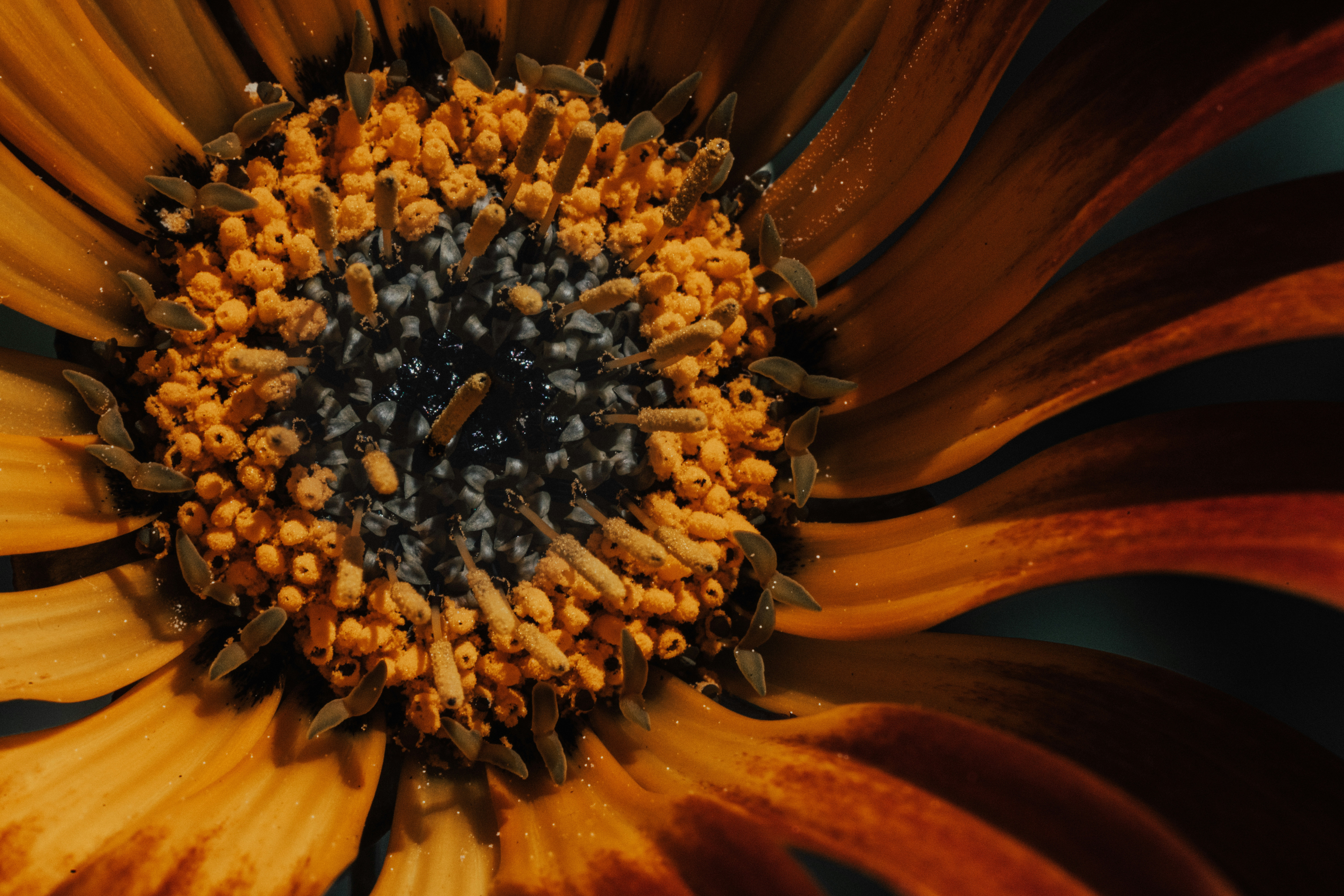 Photo by kschlotfeldt