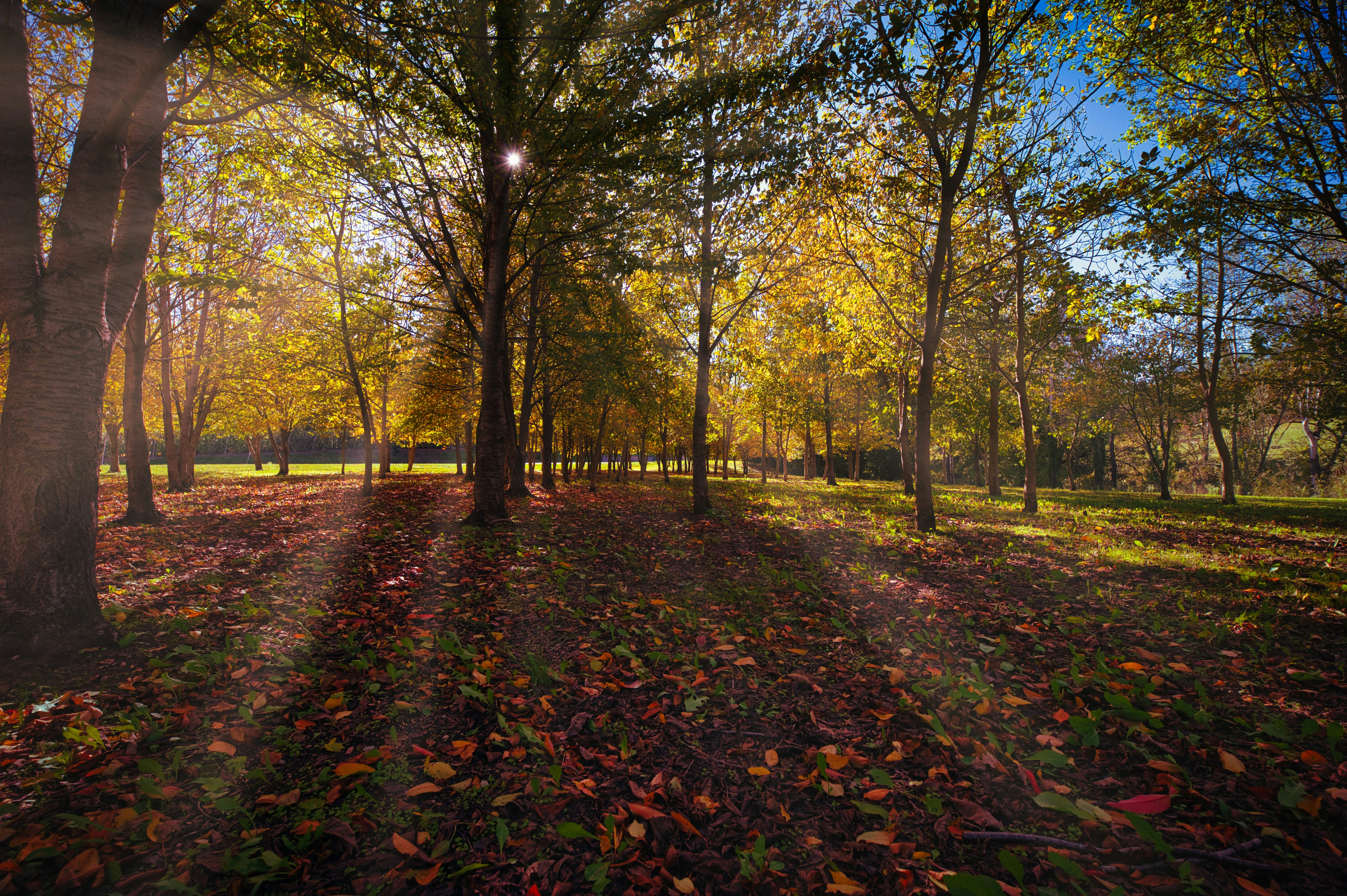 Photo by kravaioli58