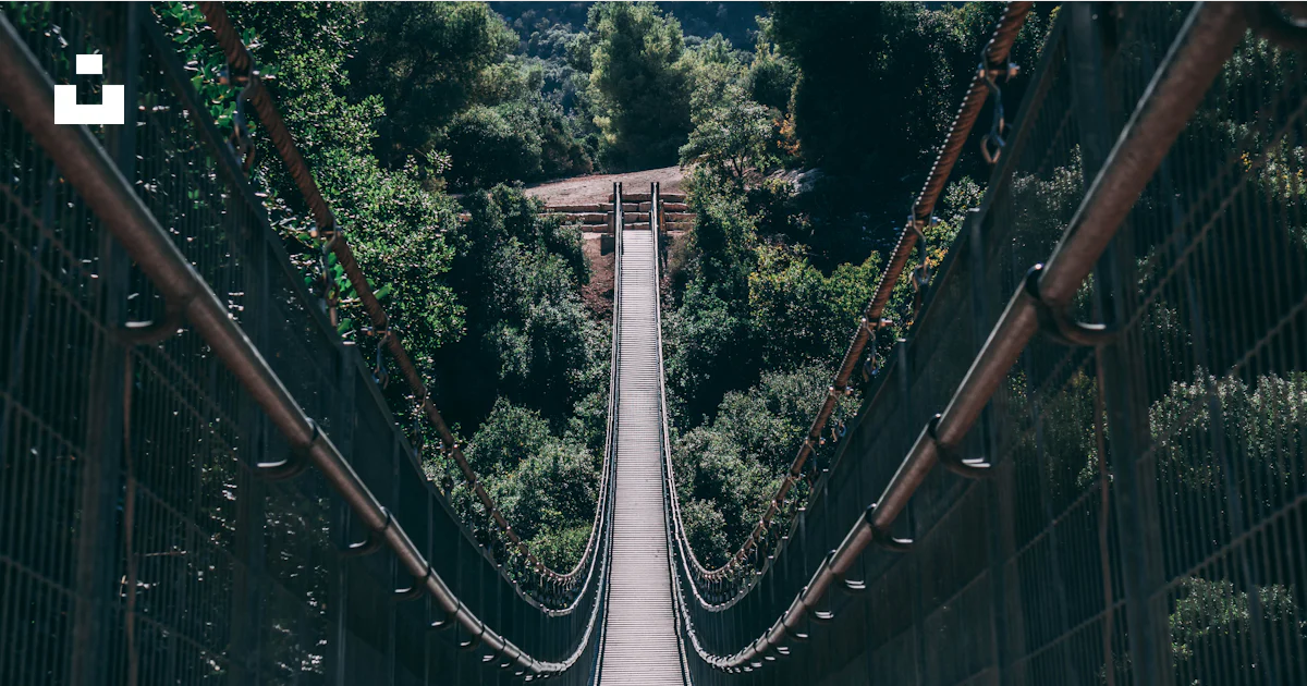 A long suspension bridge with trees on both sides photo – Free Bridge ...