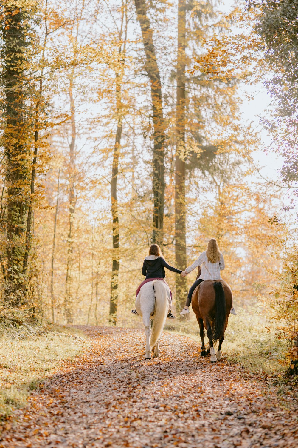 a couple of people riding on the back of horses