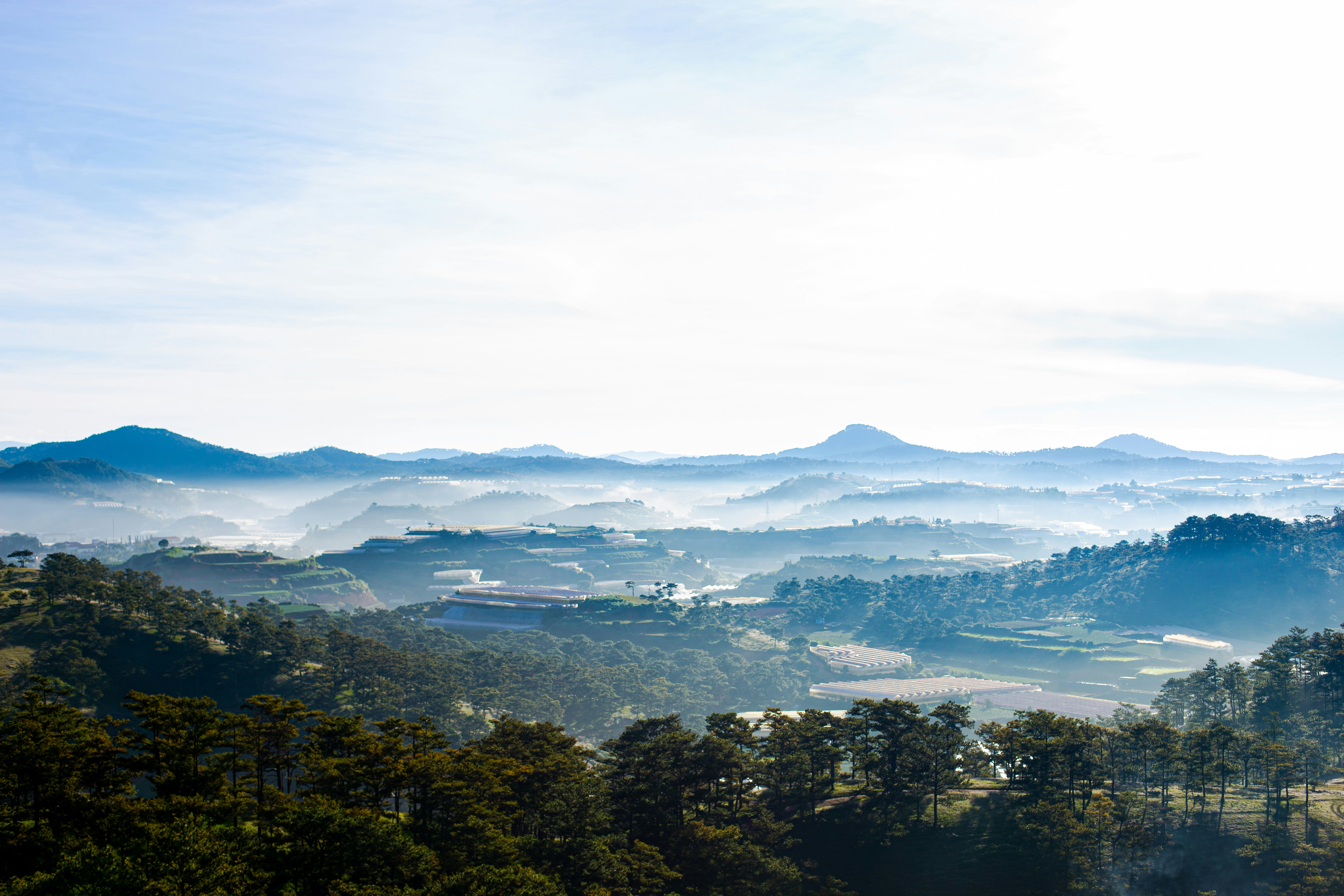 Photo by quangdieu195